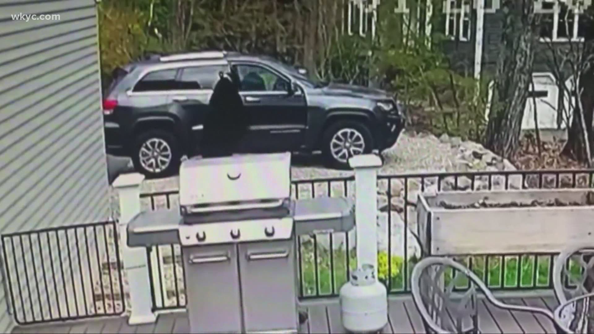 These three bears opened and got inside this parked SUV. The home owner caught the act on surveillance video.
