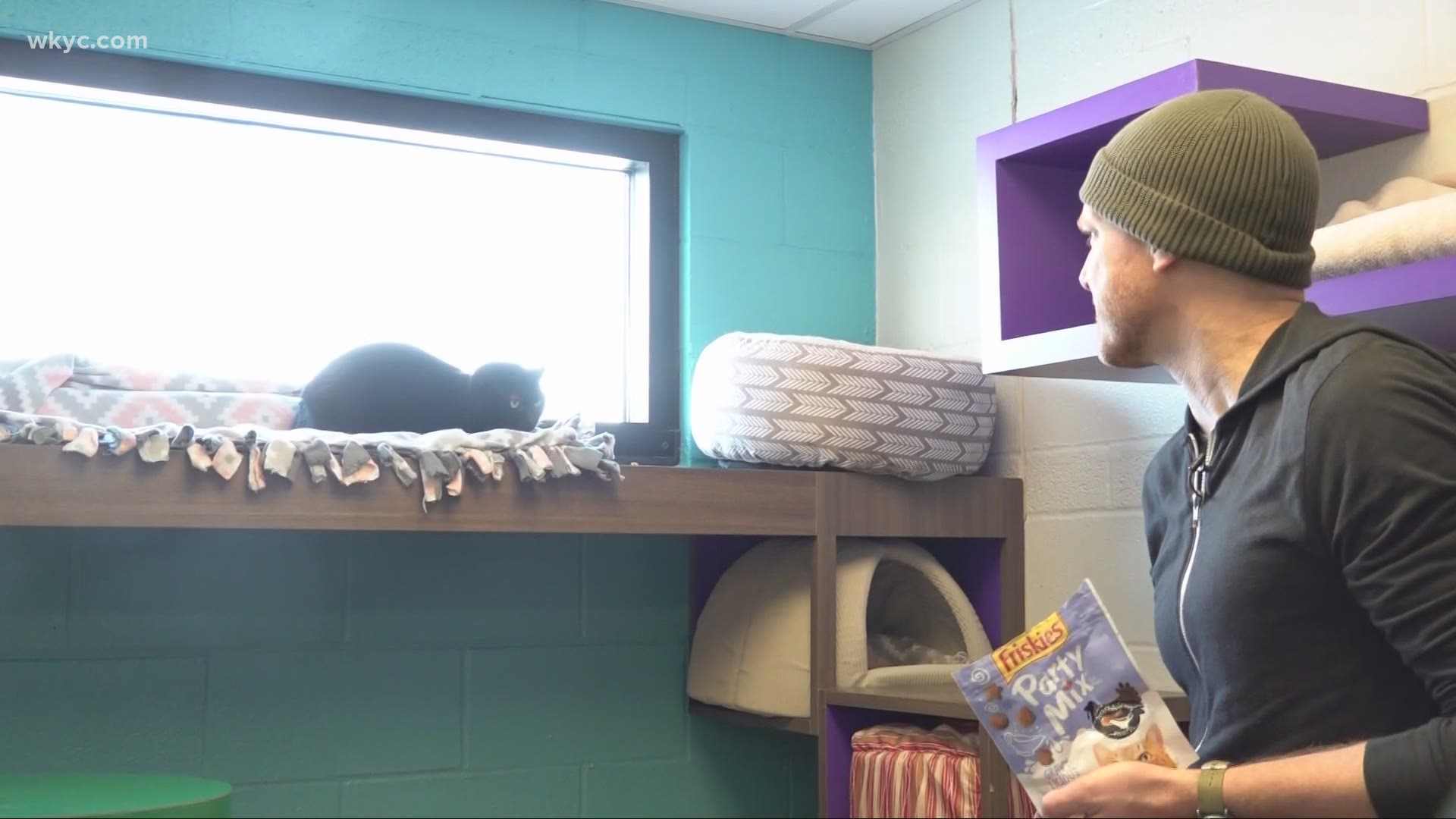 Because mean cats need homes, too! Mike journeyed to Akron's One of a Kind Pet Rescue to meet Creature, a rather grumpy cat.