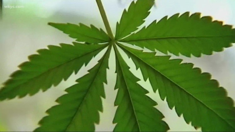 Agreement reached for Ohio vote on legalizing marijuana in 2023