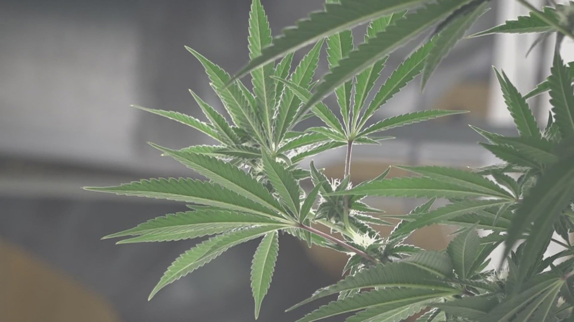 Ohio recreational marijuana dispensaries sales may begin Tuesday