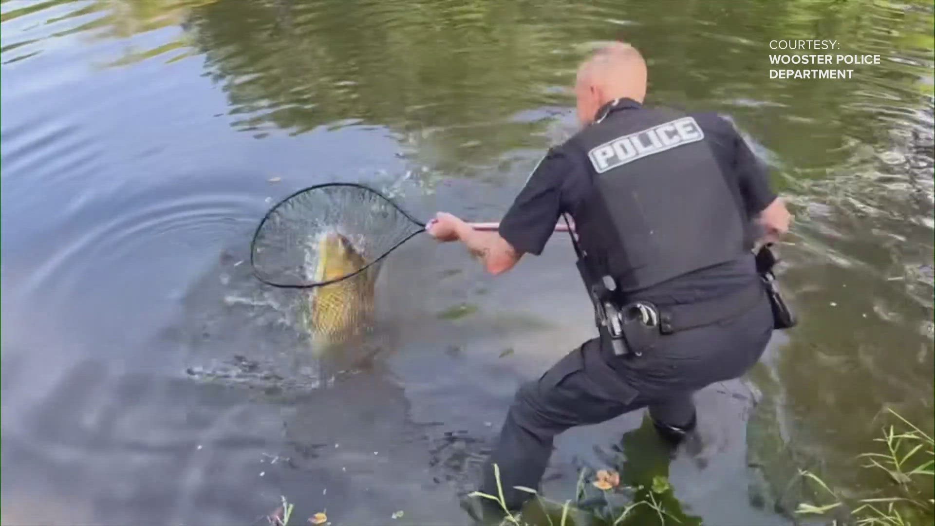 After 15 minutes, Wooster police patrolman Josh Timko was able to bring in a 'monster' 15-pound fish.