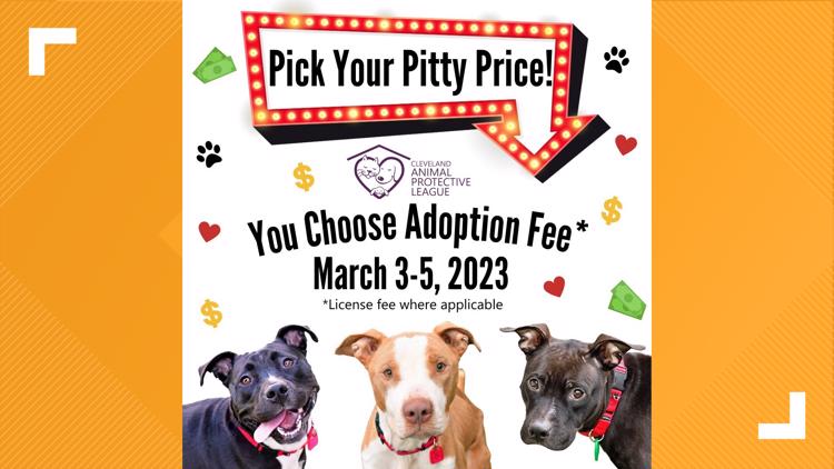 Name your price to adopt a Pit Bull at the Cleveland APL