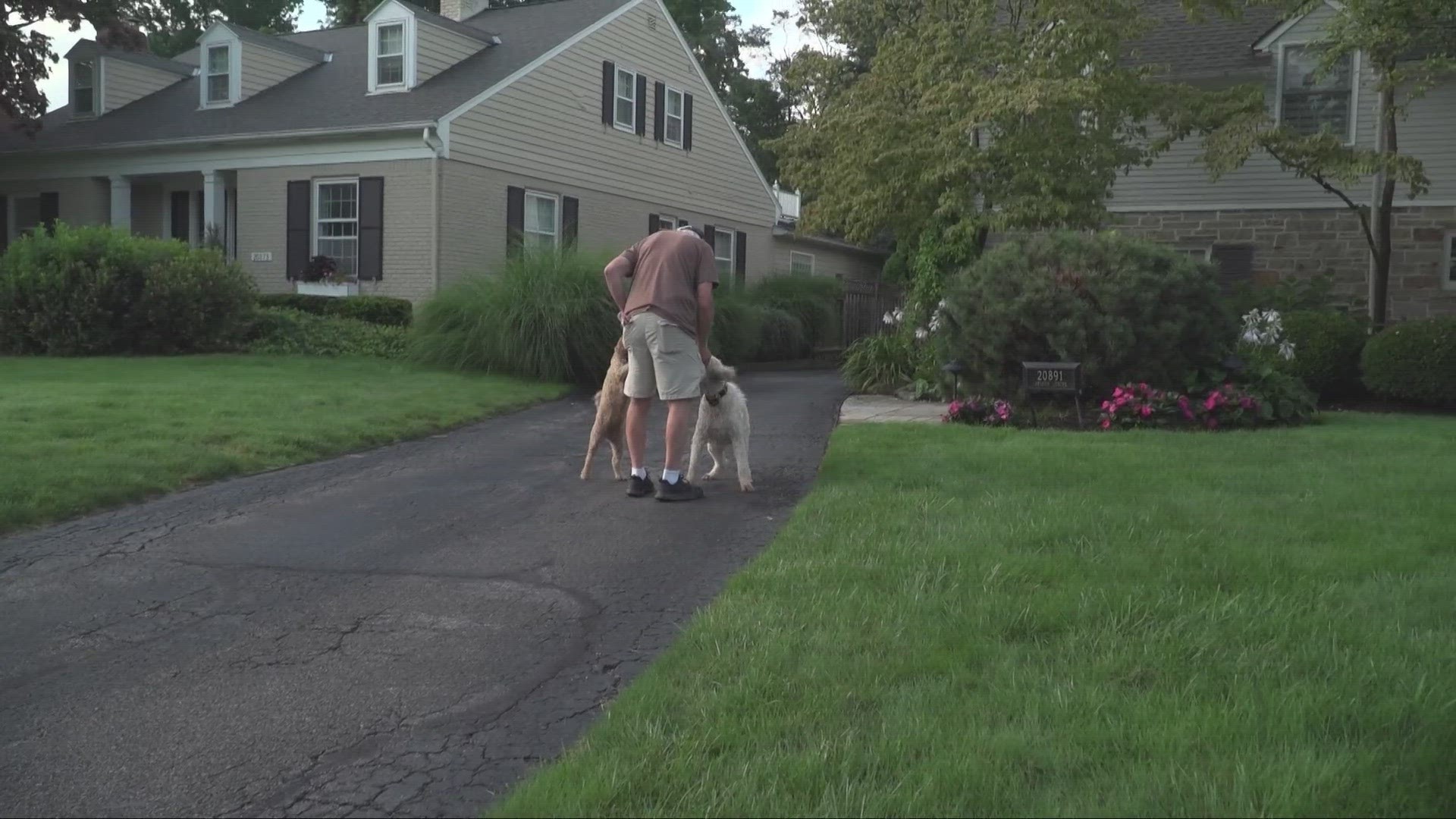 George Kocar has been walking five miles from Bay Village to Rocky River every day since 2010. He greets every dog along the way.