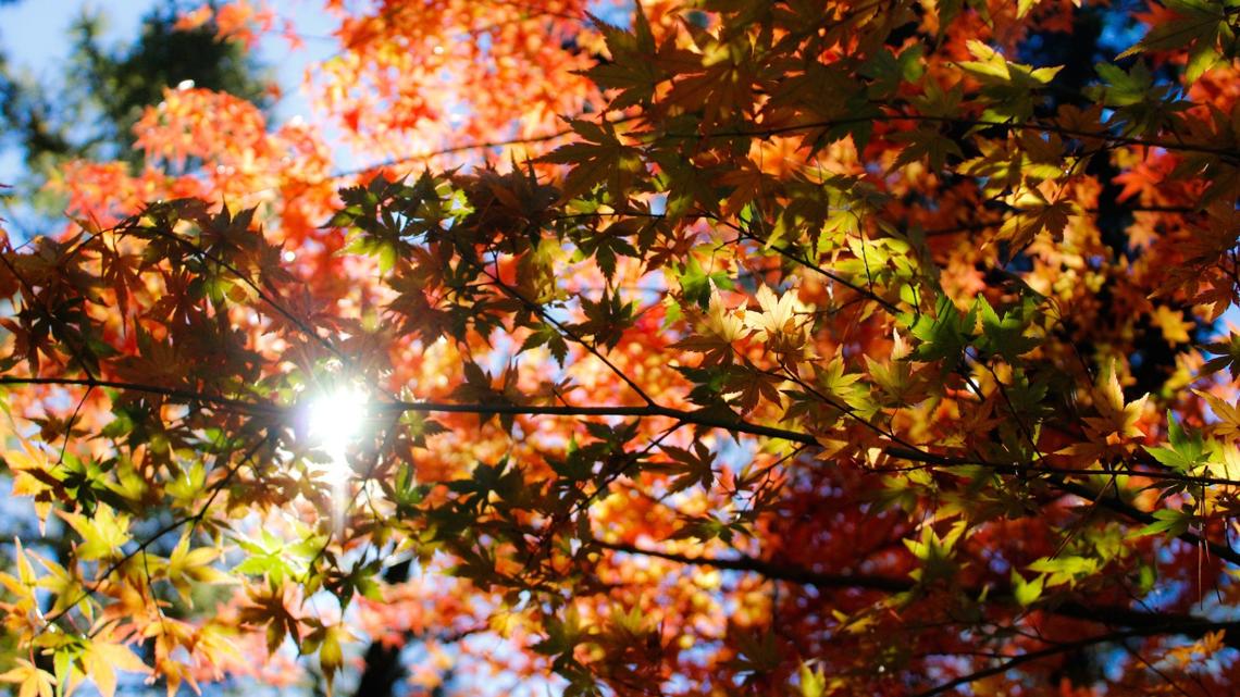 When does fall start? | wtol.com