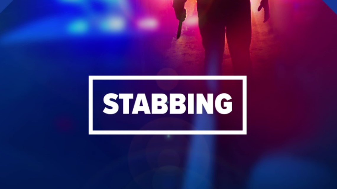 South Toledo stabbings wound 2 people early Saturday - Vimarsana News