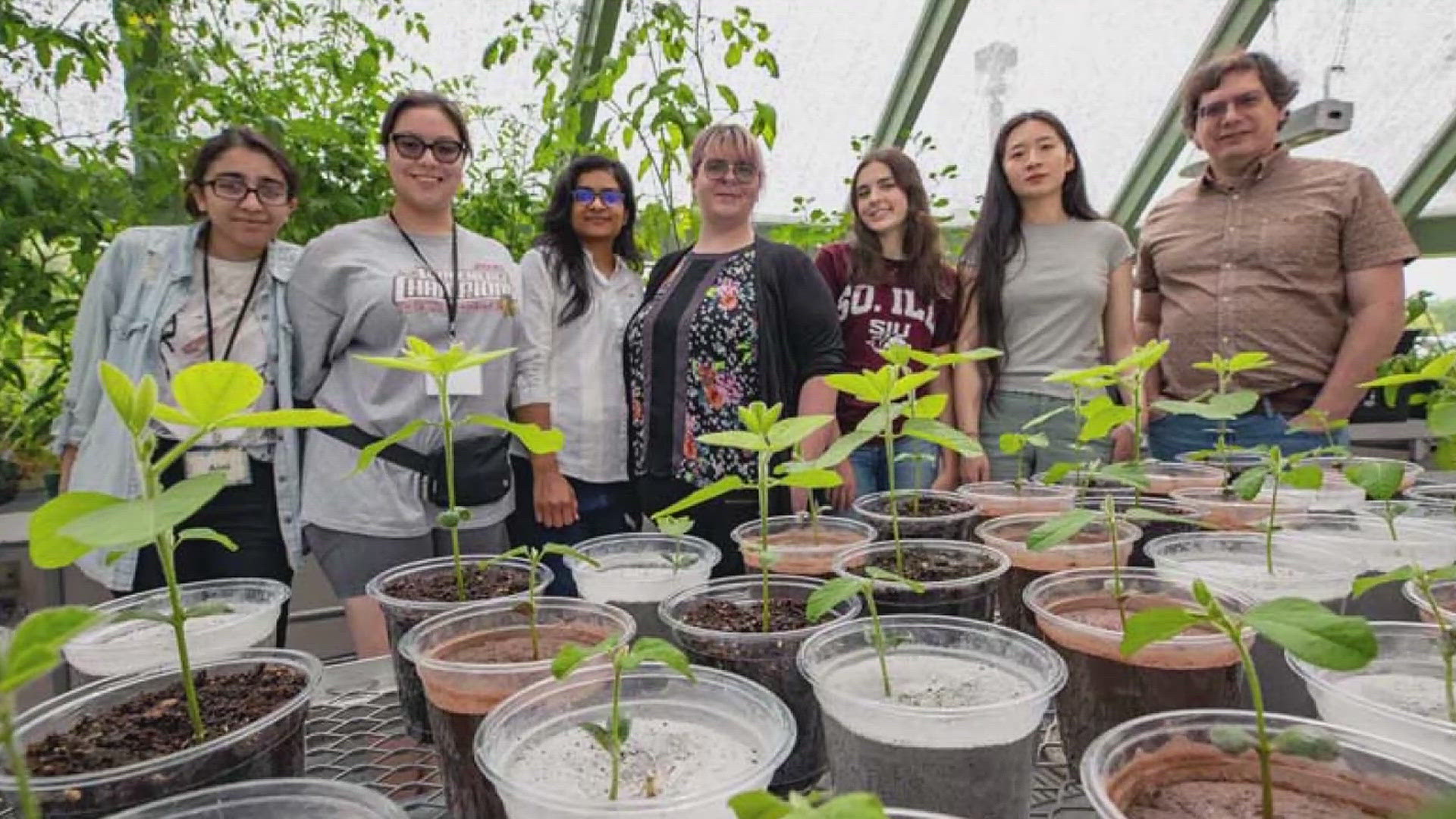 The team is one of just 15 nationwide finalists for the U.S. Department of Energy's Algae Prize.