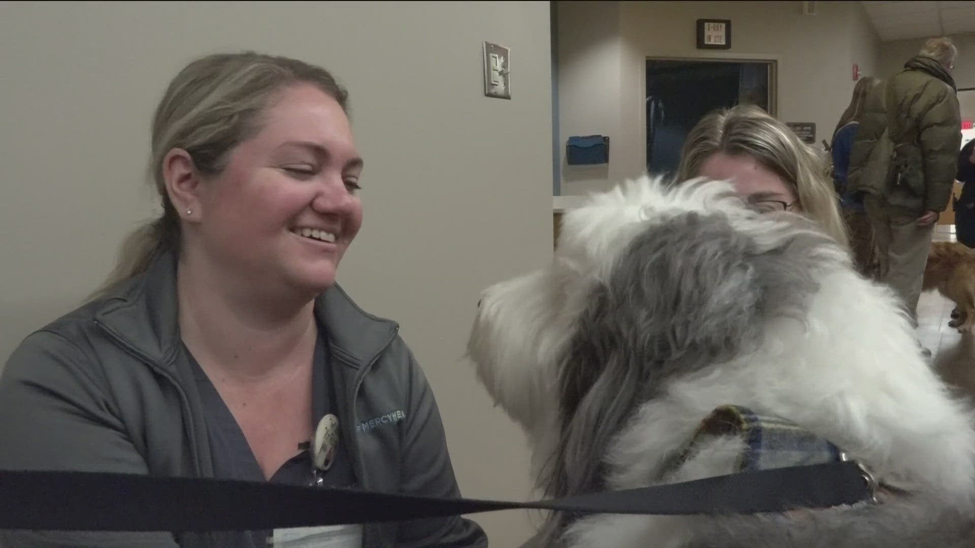 Dog therapy program aiming to help healthcare workers with stress of ...