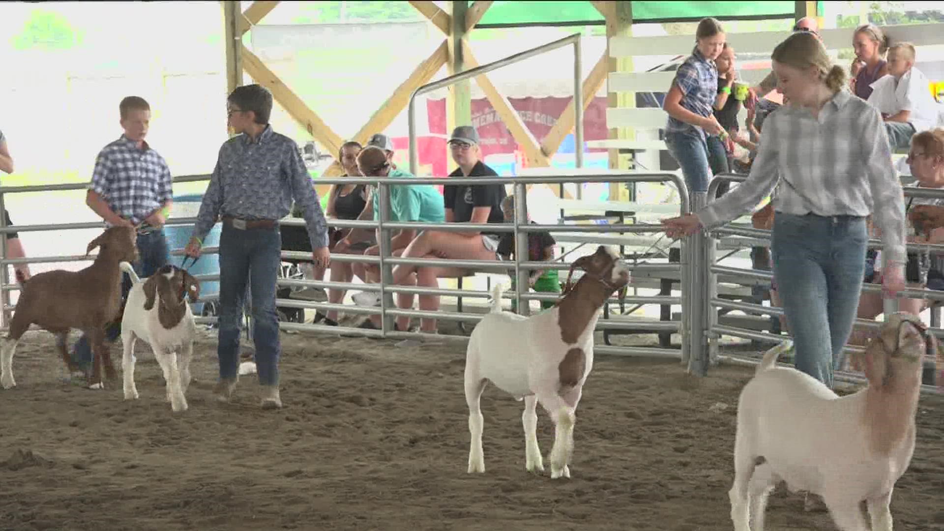 The fair has misting units for crowds and will have the local fire department spray down the roofs of the animal barns throughout the day, as temperatures soar.