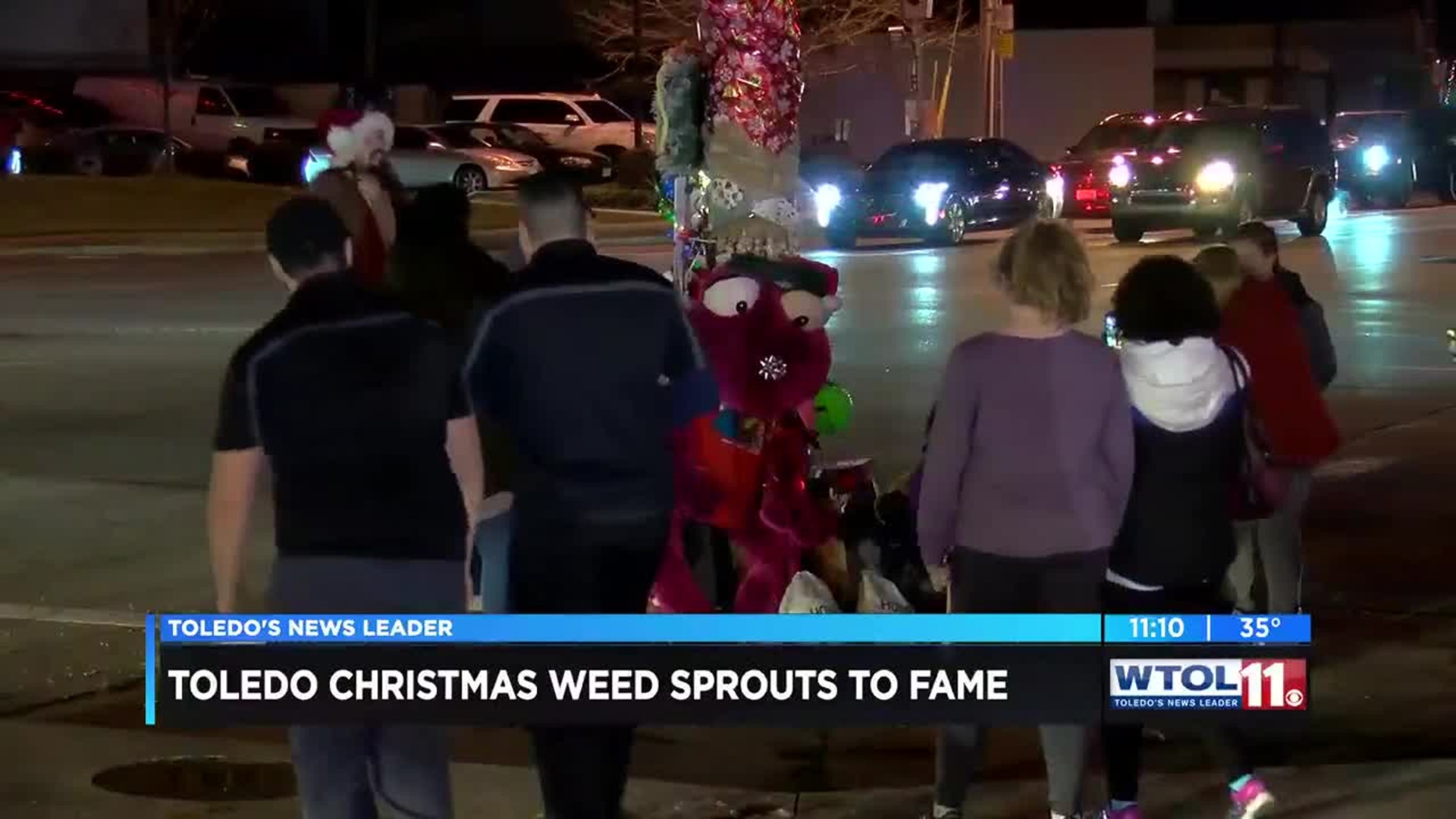 Toledo Christmas Weed inspires t-shirts, donations and proclamation from the mayor