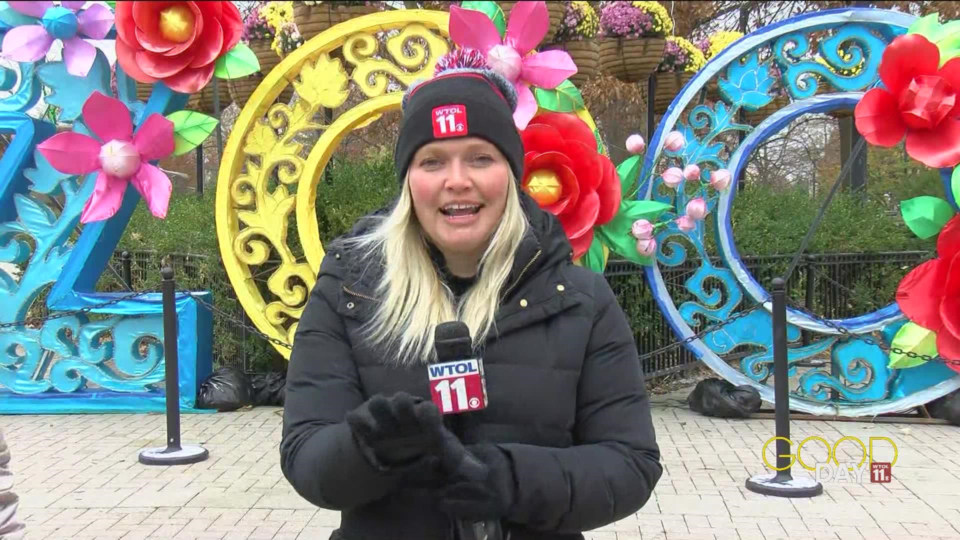 Get ready for the Lights Before Christmas at the Toledo Zoo