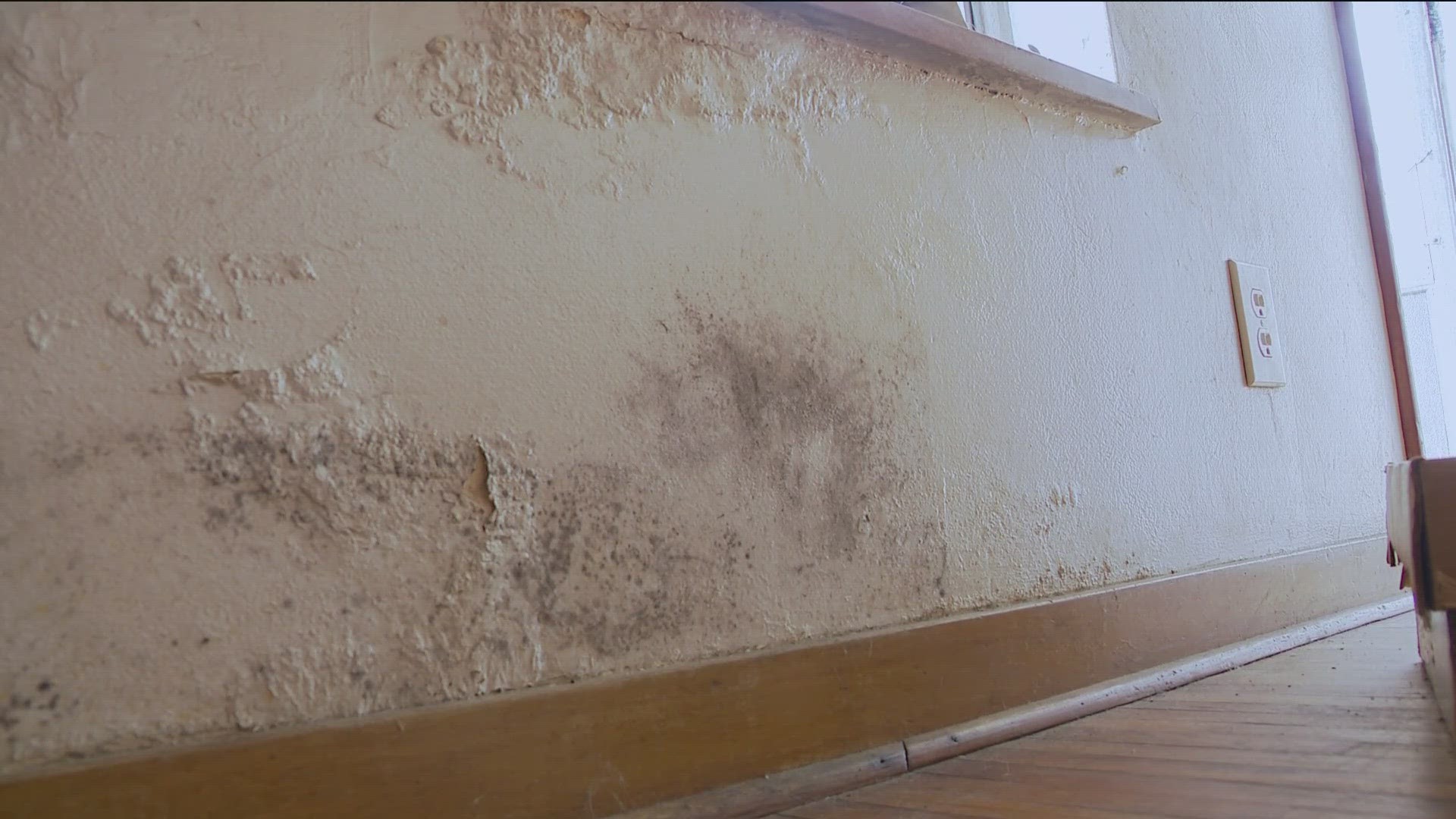 William Burnham reached out to our Call 11 for Action team to report mold in his apartment.