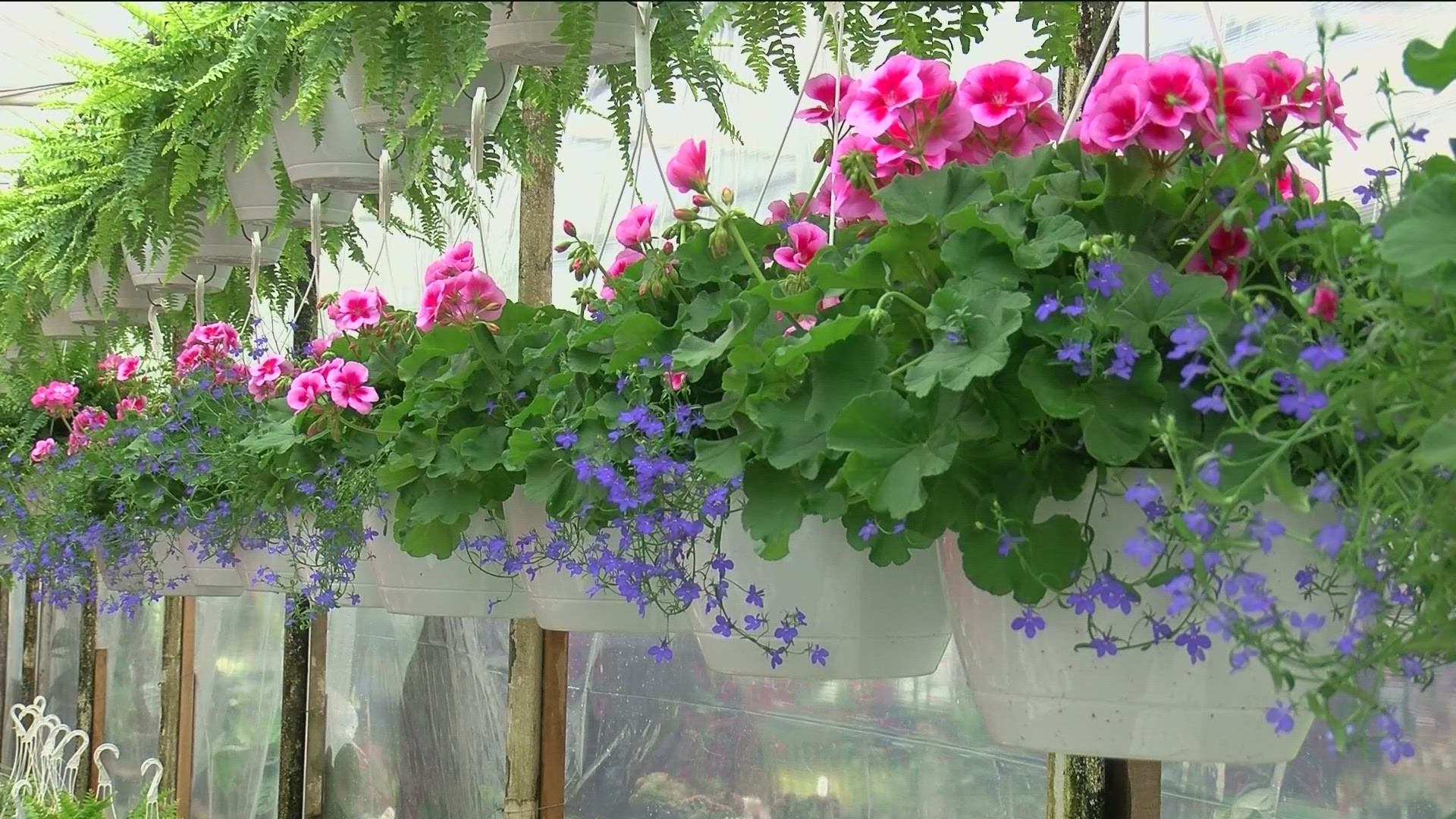 Mother's Day truly marks the sign of the beginning of gardening season and a burst of colors, but a lot of preparation goes into having a successful spring bloom.