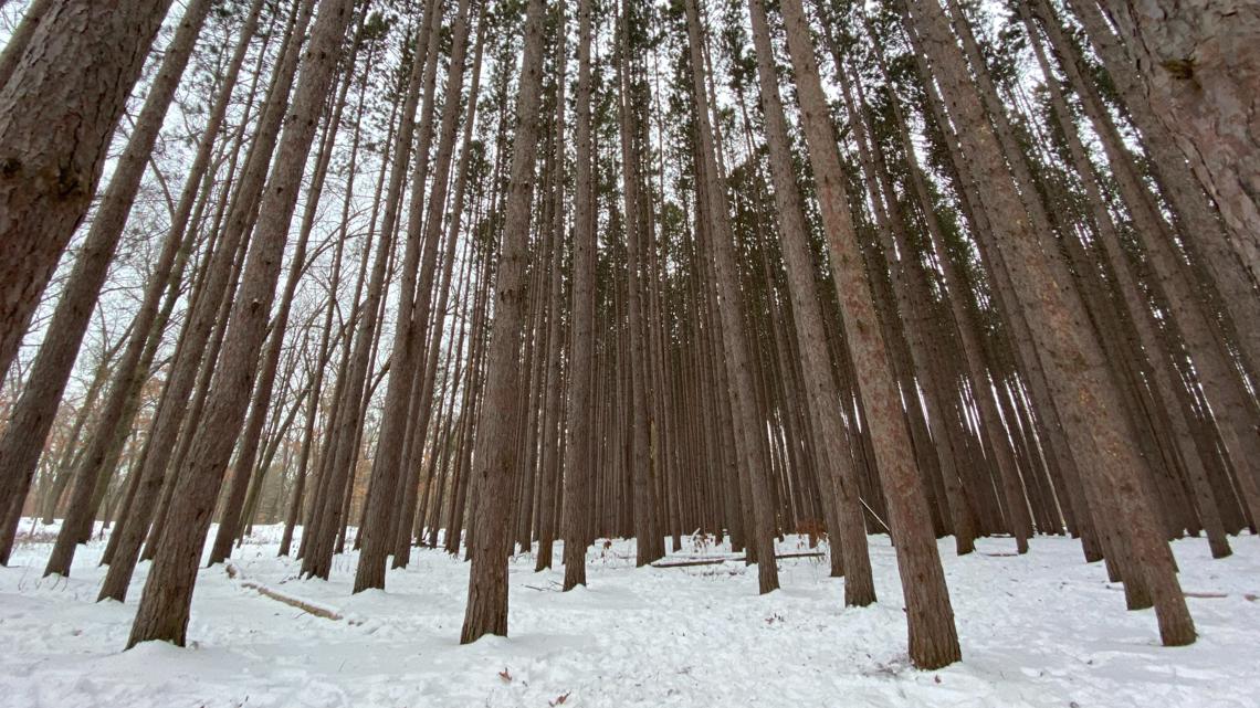 Oak Openings Metro Park