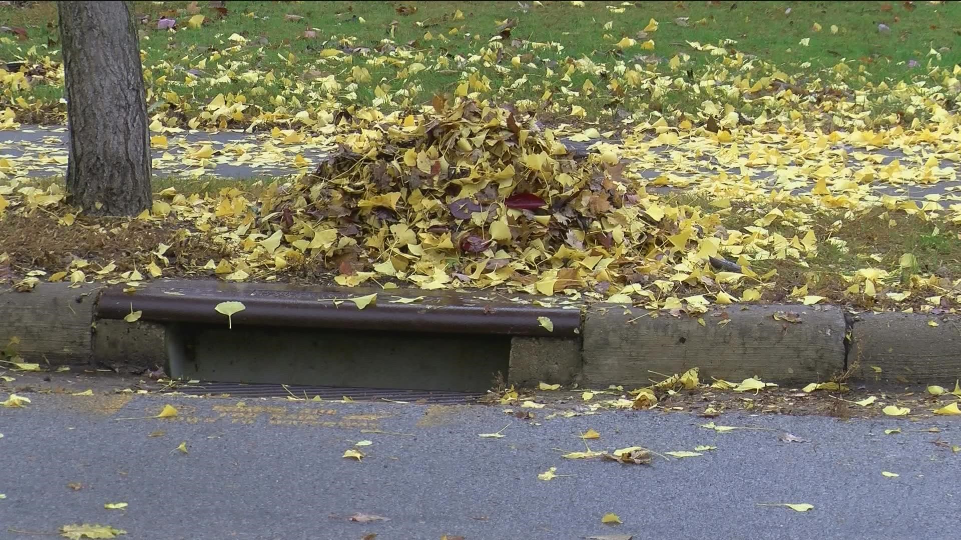 Leave your leaves in the space between the curb and the sidewalk. Here's a demonstration of what happens when those piles of leaves end up where they shouldn't be.