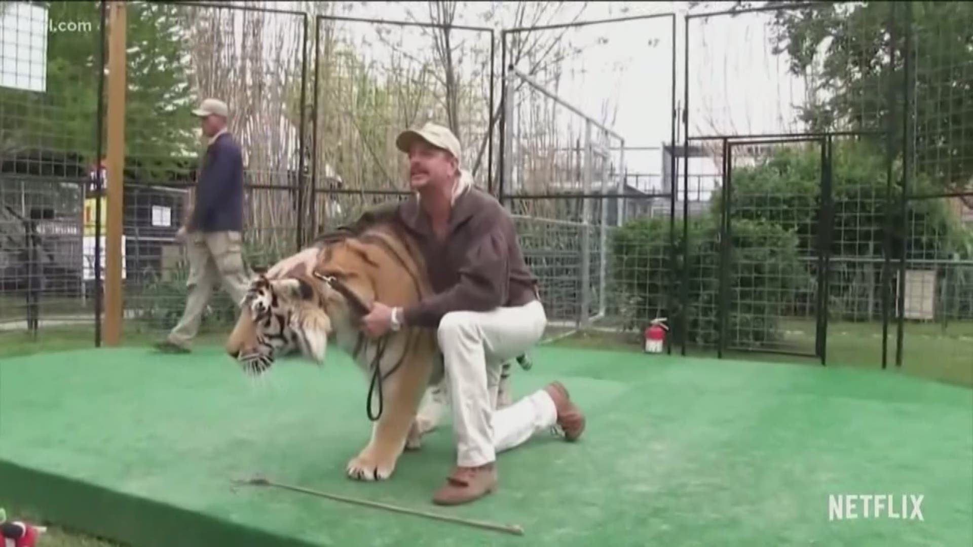 Josh Bethel was approached by 'Joe Exotic' in Toledo in 2009. He then became part of the staff of the traveling exotic animal show.