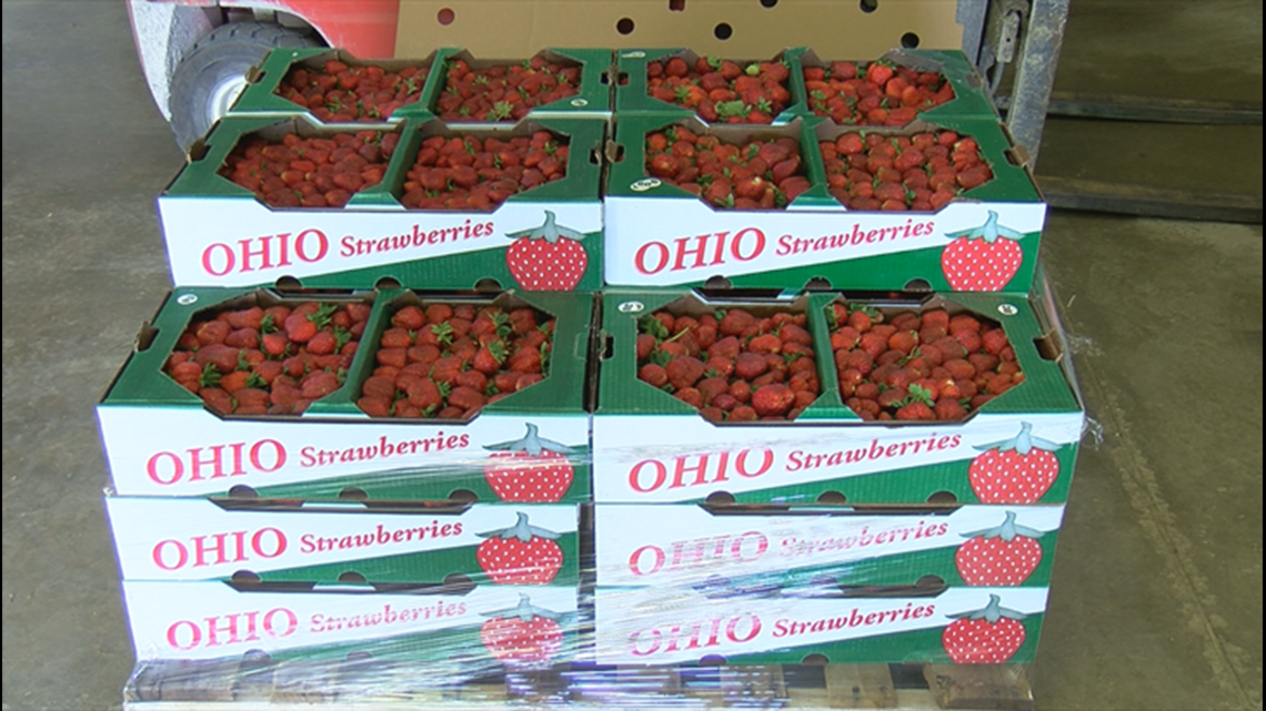 Could Recent Hot Weather Hurt Local Strawberry Crops Wtol Com,Paper Mache Paste Hobby Lobby