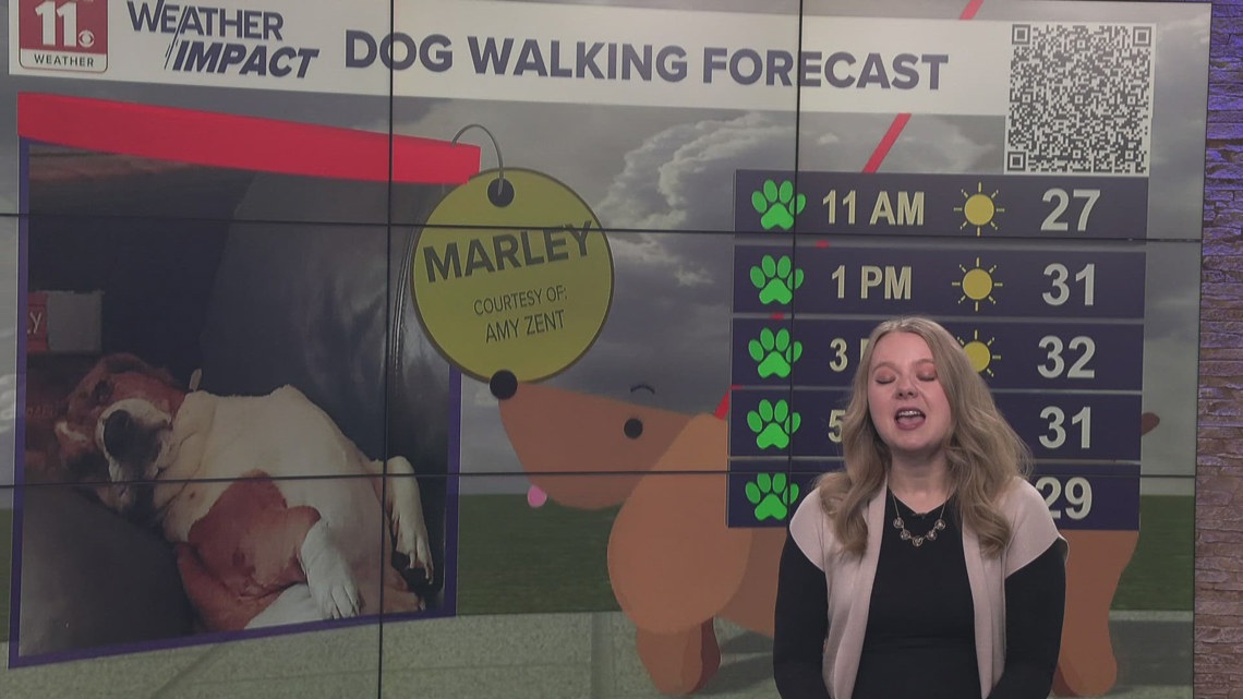 Warmer temps and rain on the way | Good Day on WTOL 11 | wtol.com