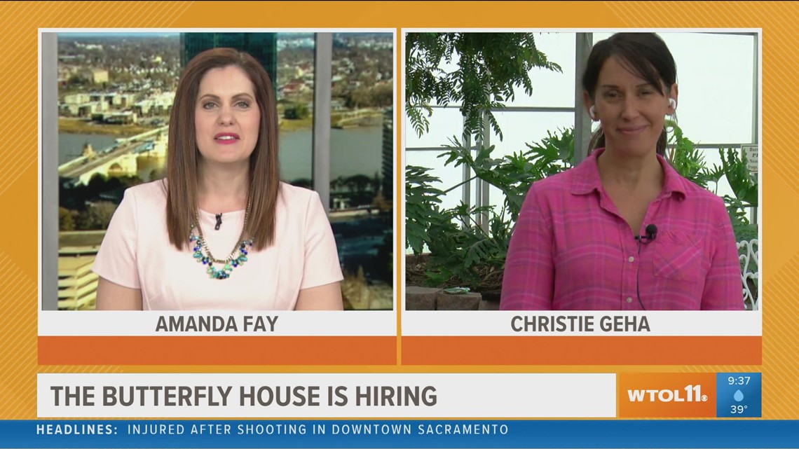 The Butterfly House is reopening to the public Your Day