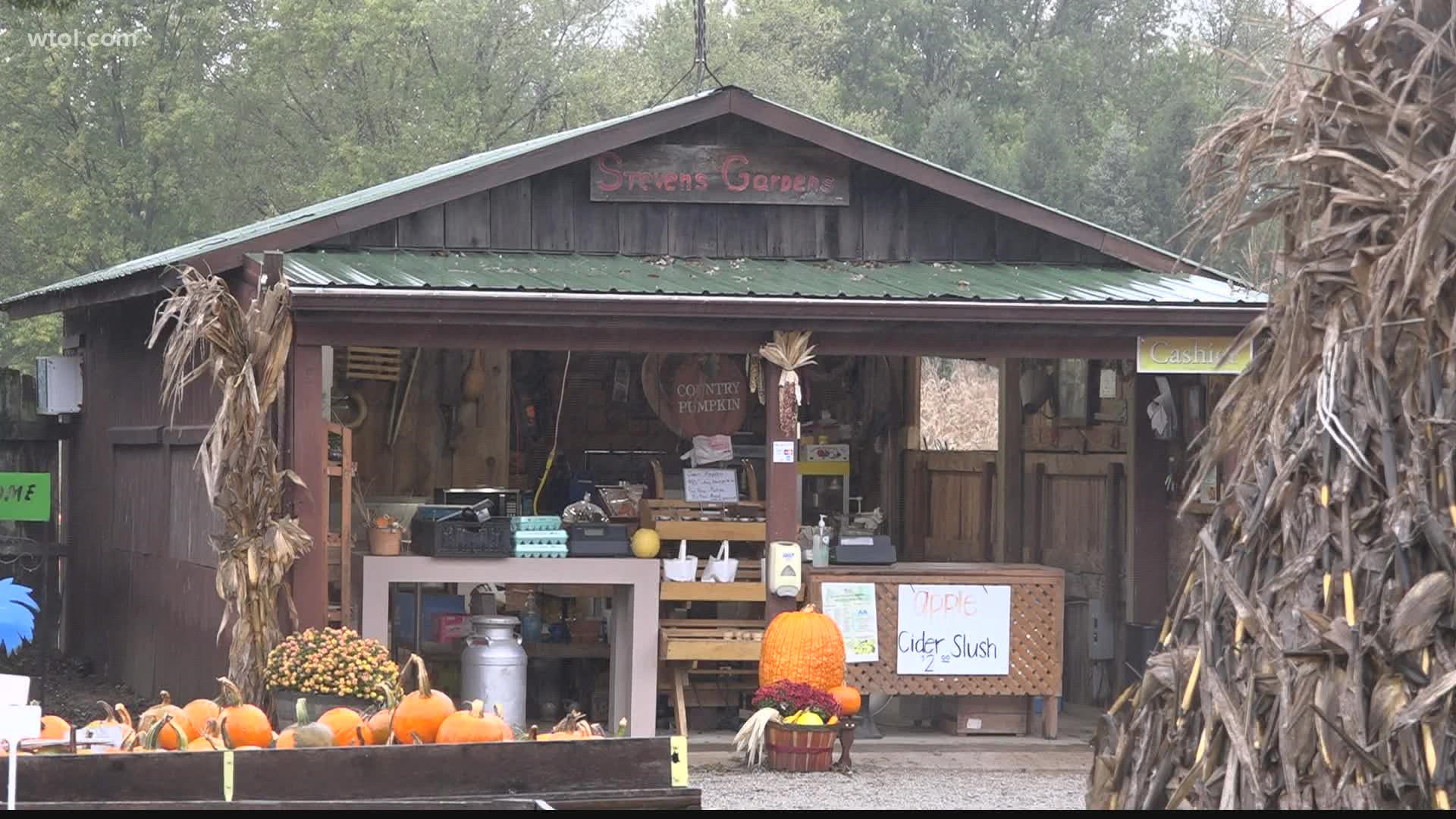 Nationwide, a shortage of pumpkins and Christmas trees is being reported, with less than ideal weather to blame. But local family farms say their harvests were fine.