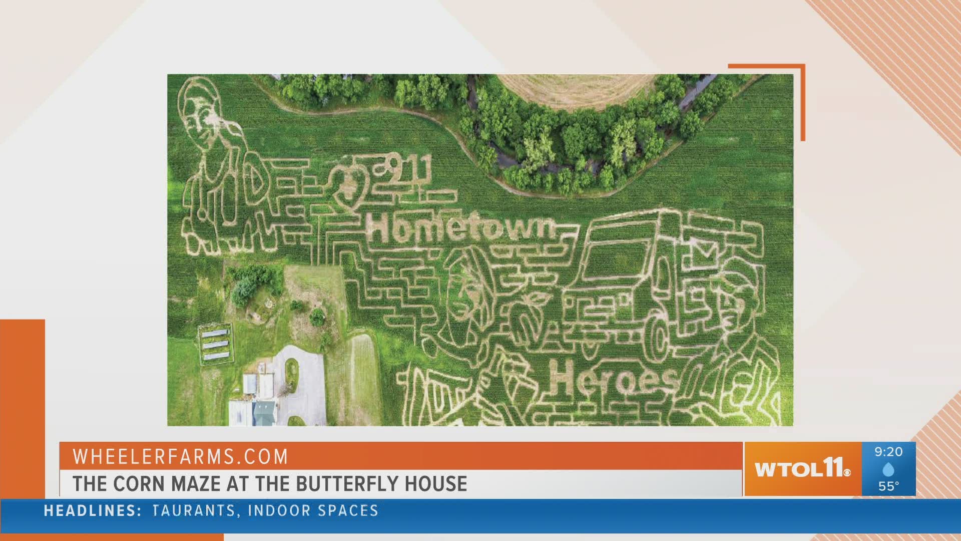 Enjoy three different corn mazes at The Butterfly House for some fall fun for the whole family!