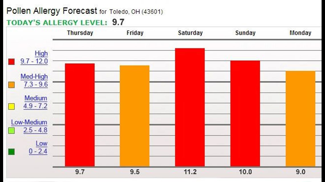 High pollen counts kick off allergy season