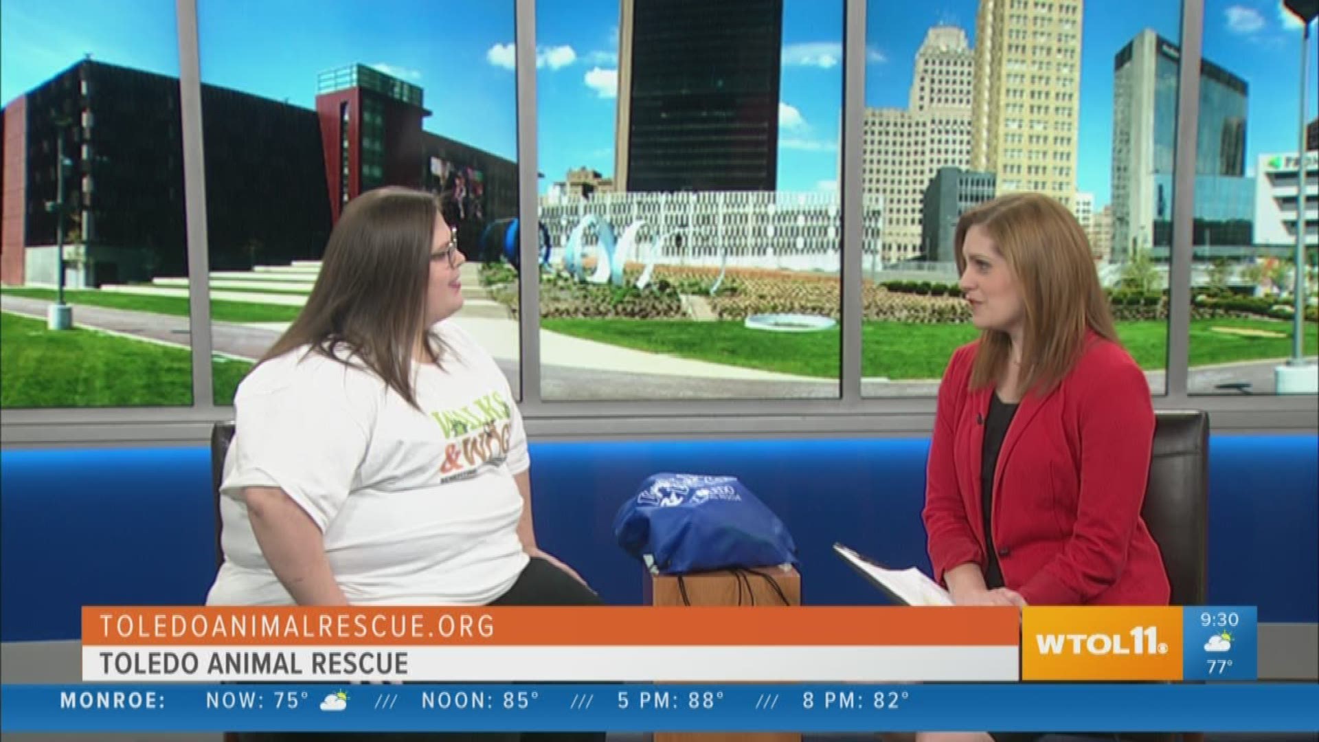 There's no better sight than a happy dog out for a walk, tail high and wagging. Take yours out this Saturday all to benefit Toledo Animal Rescue. Johanna Rahkonen explains.
