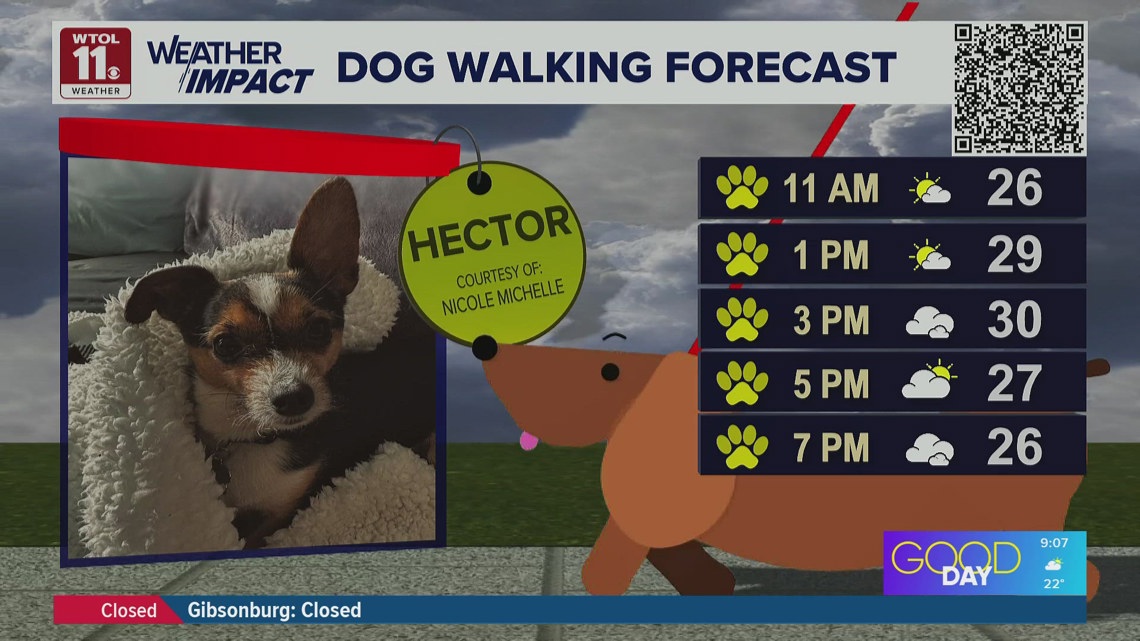 Sunshine early Friday, highs near 30 degrees | Good Day on WTOL 11 ...