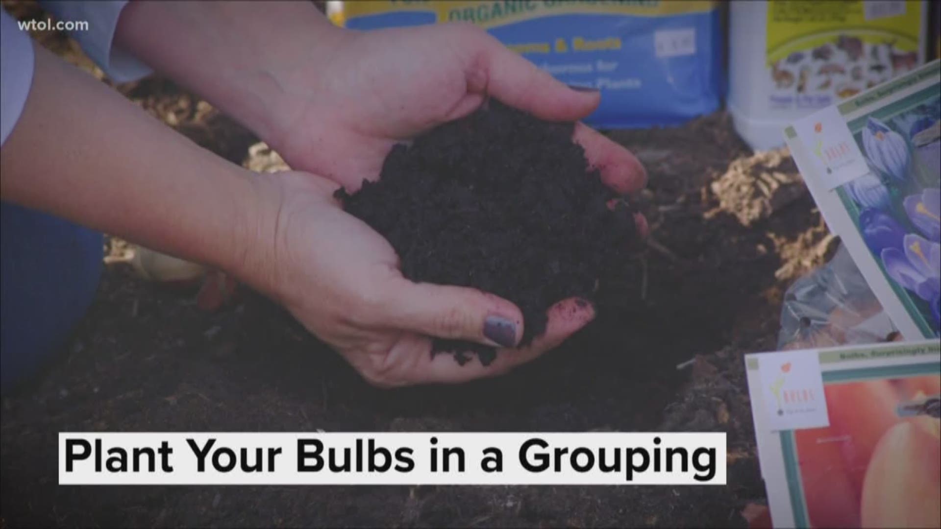 Jenny Amstutz from Nature's Corner explains the best practices for planting this fall.