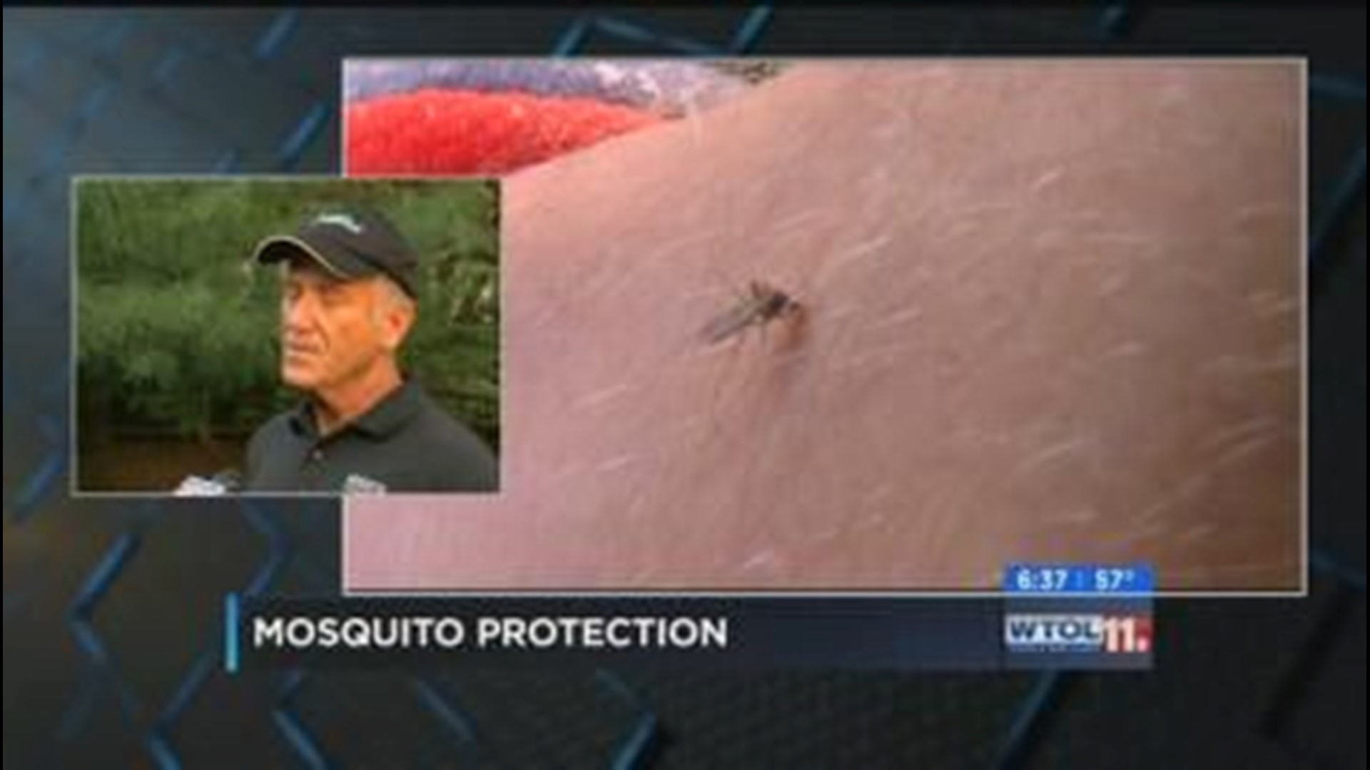 Know how to avoid those pesky bites during mosquito season