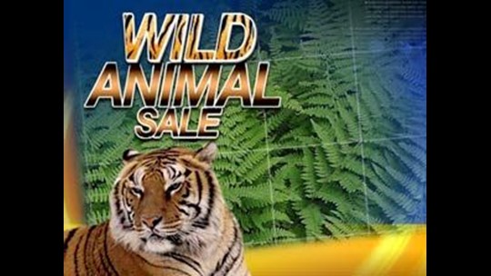 News 11 Investigative Report: Wild Animal Auction | wtol.com