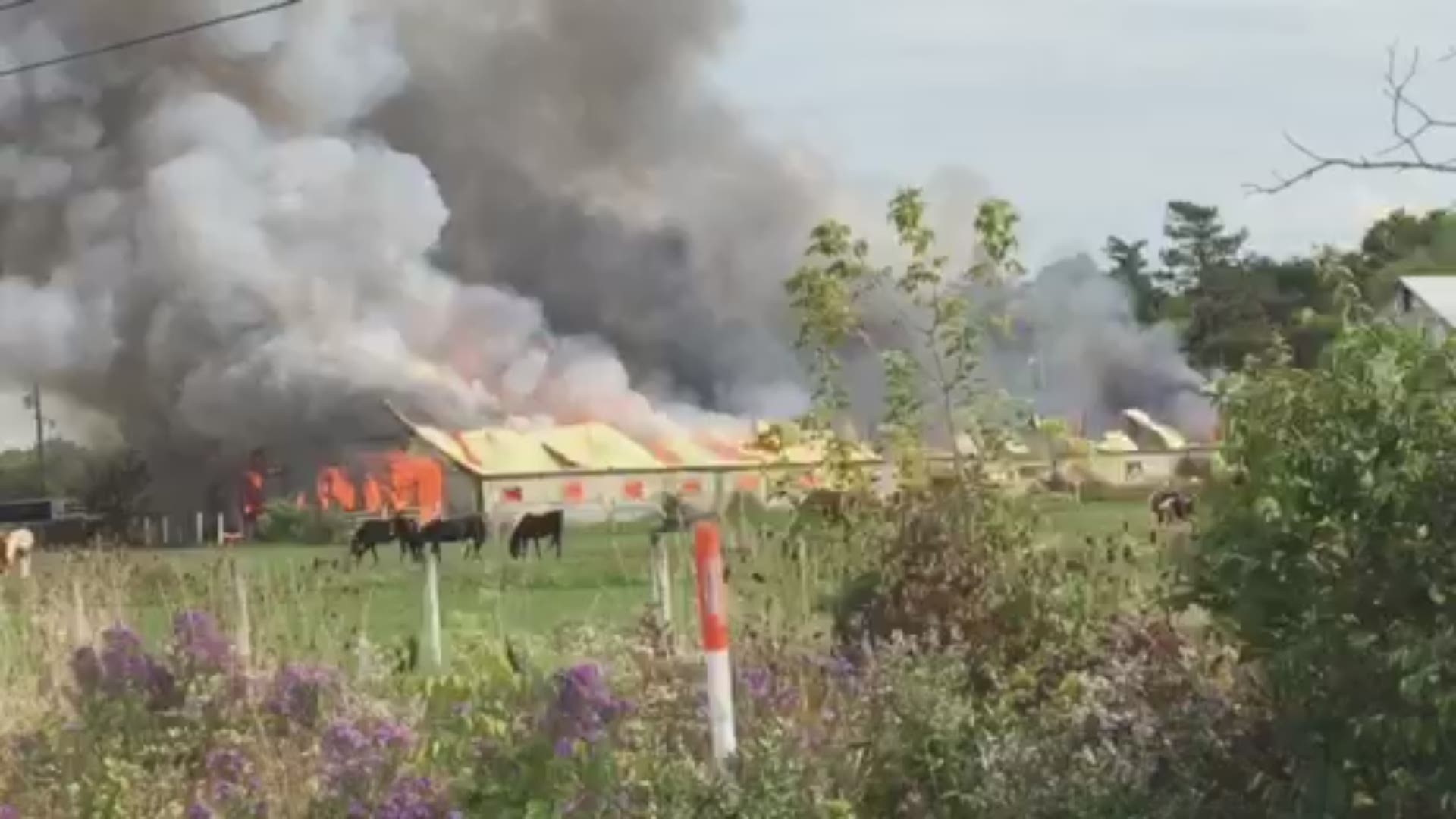A large barn fire at Fantasy Acres in Perrysburg is being fought by multiple departments.