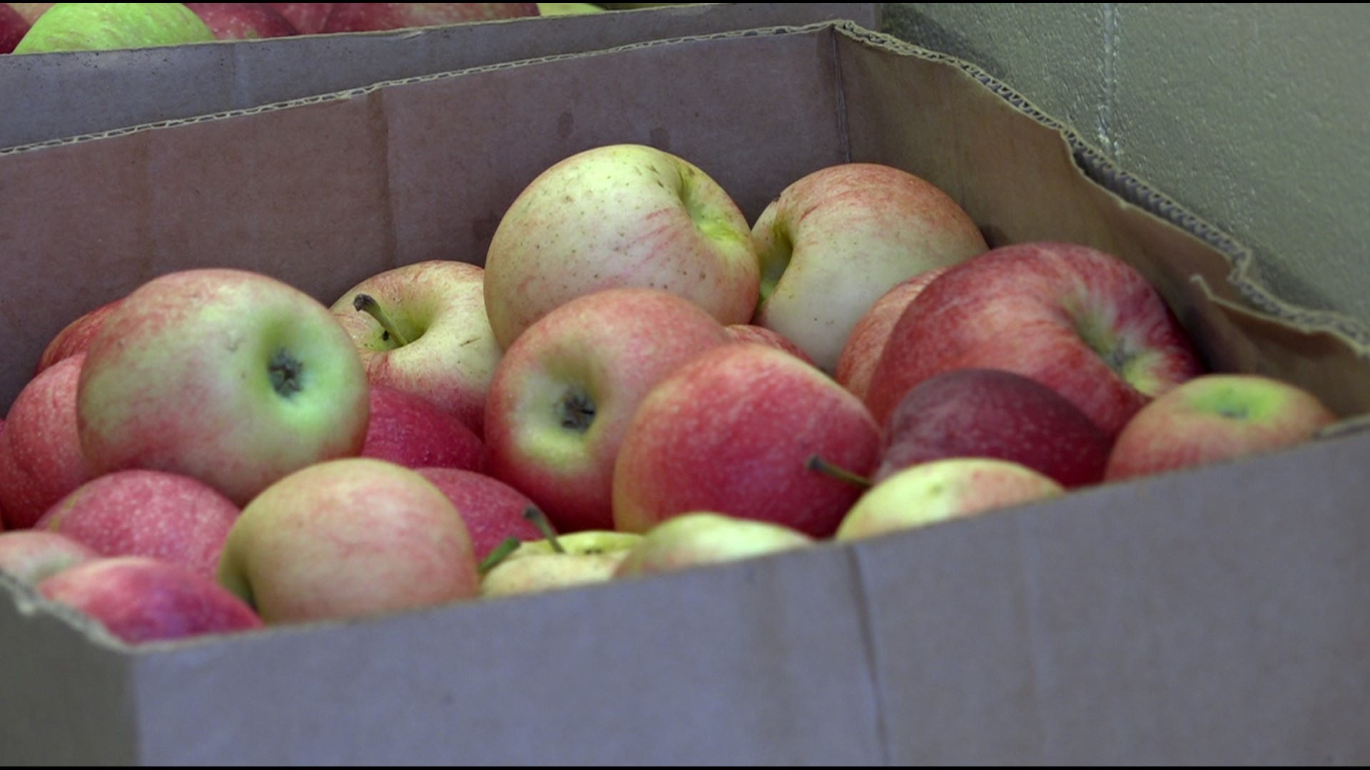 apple truck tour 2022