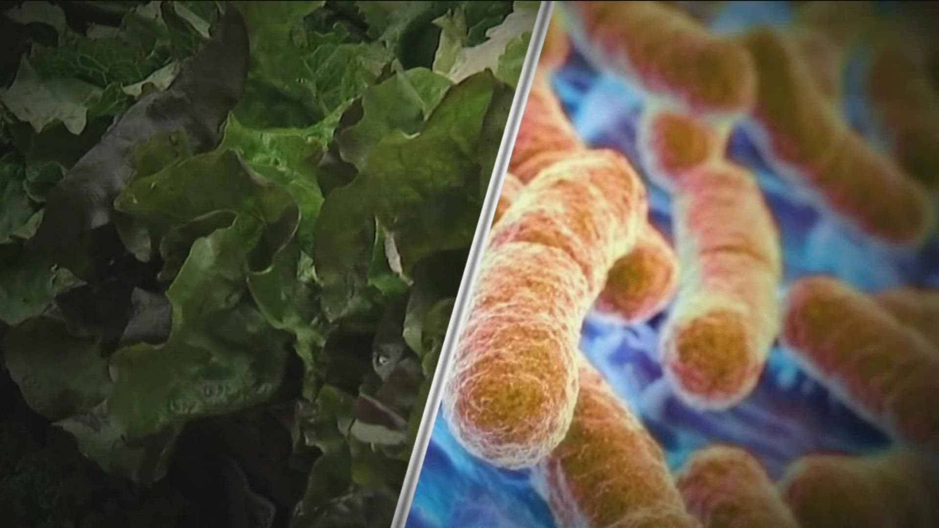 The E. Coli outbreak has now infected 37 people and hospitalized 10.