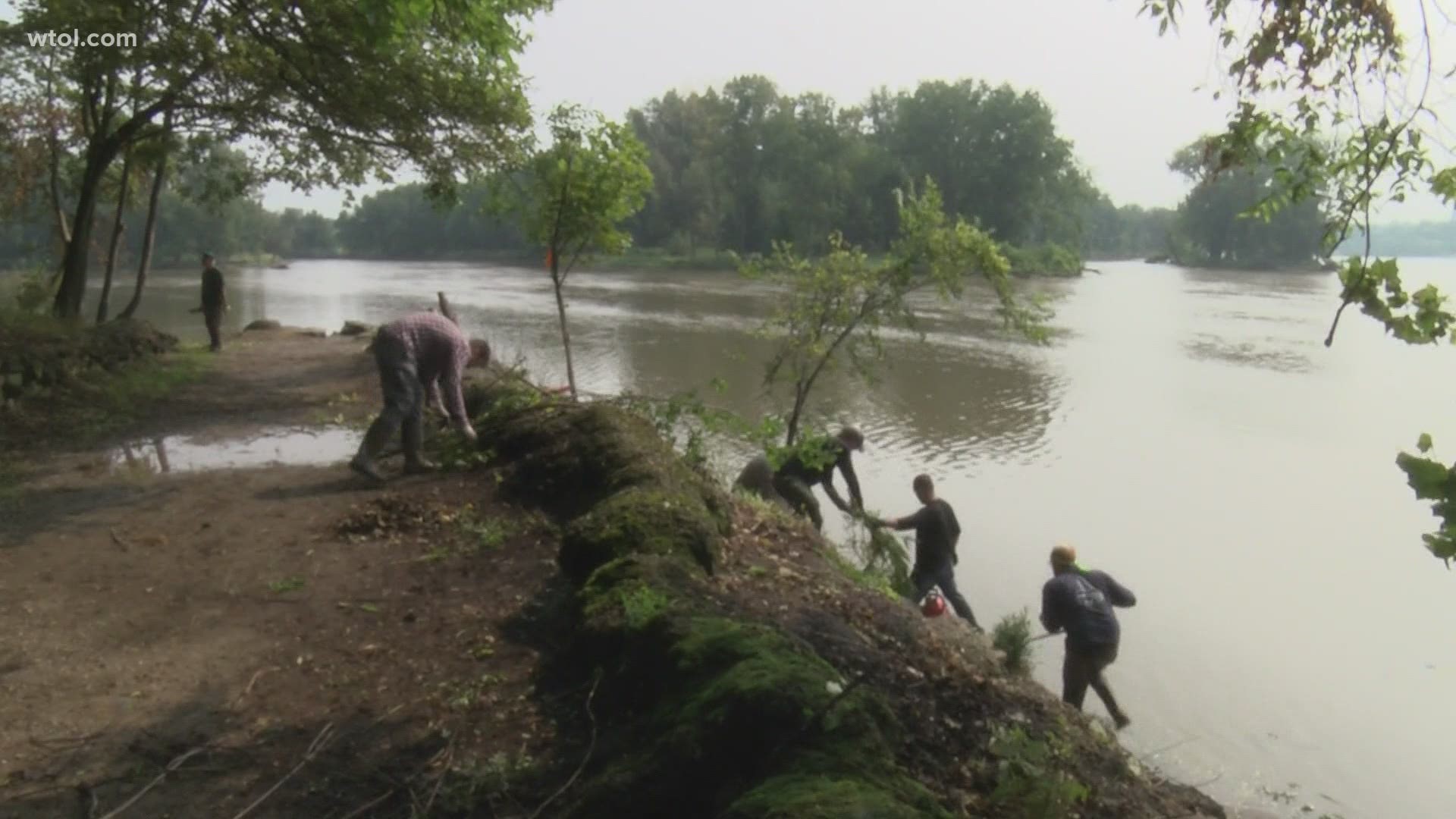 Jonathan Fiscus has spent the last two weekends helping to beatify the shores of the Maumee River in Towpath Park in Maumee.