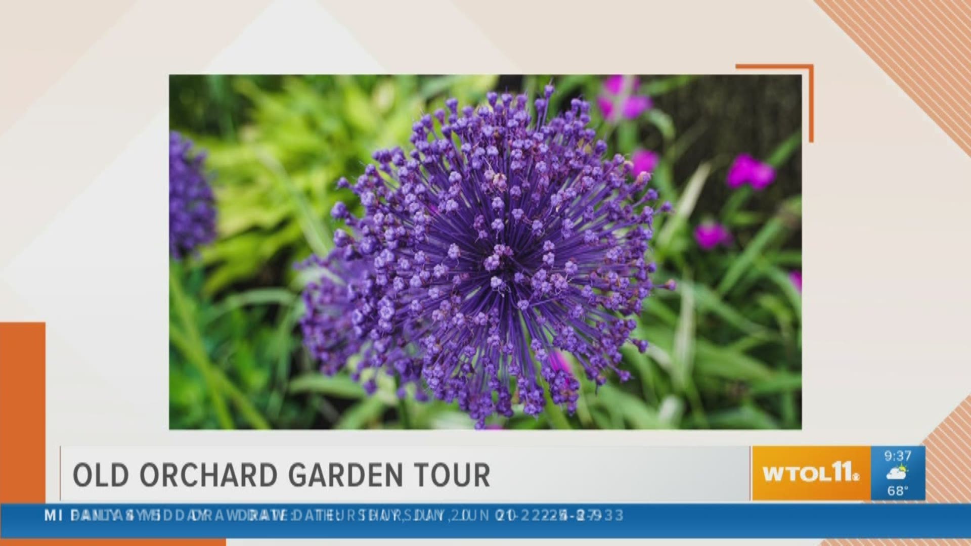 It's that time of year: check out the Old Orchard Garden Tour this Sunday!