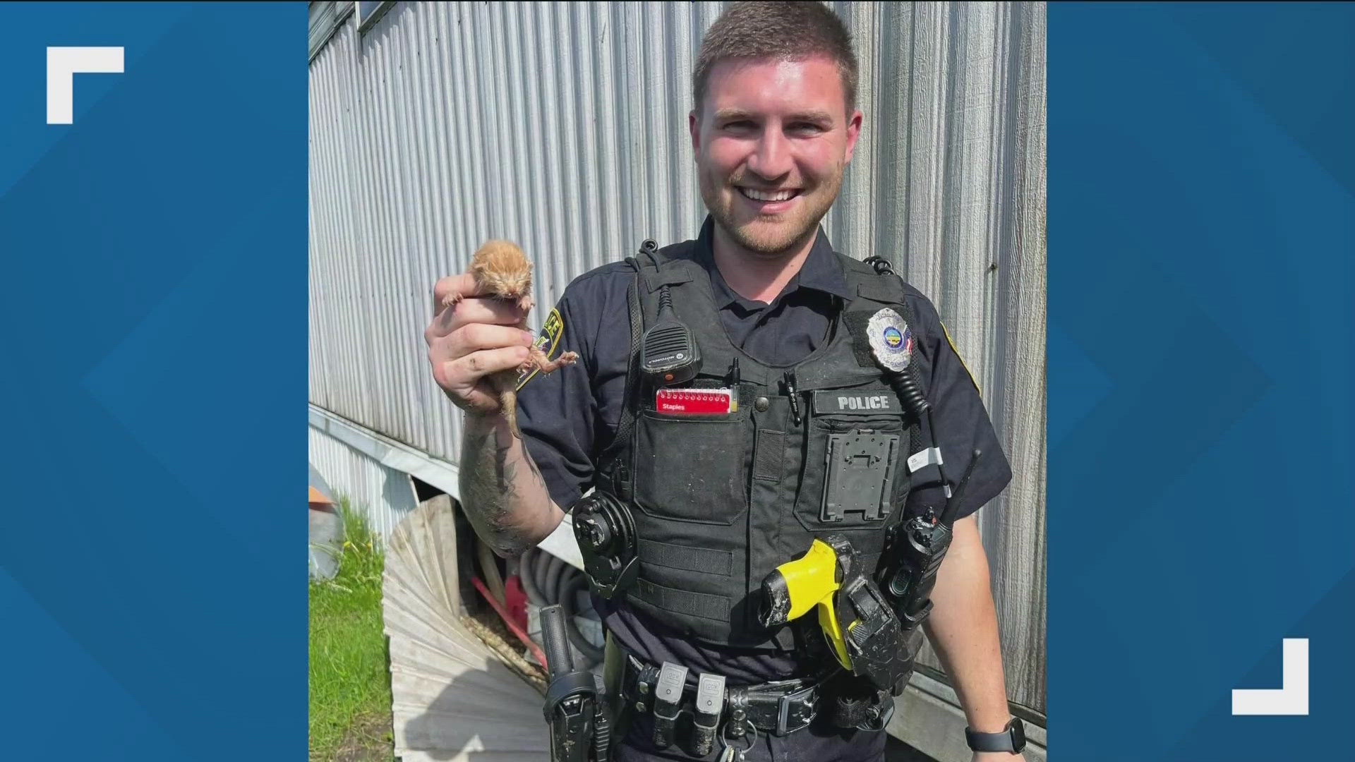 Officer Johnson was beaming with pride after rescuing the tiny kitten from under a mobile home on Sunday.