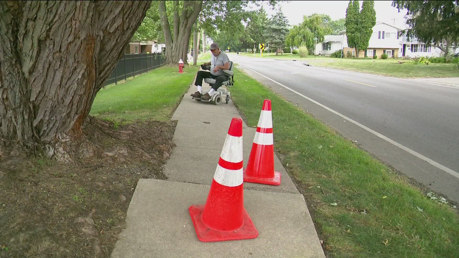 A bumpy, uneven sidewalk is causing issues for residents of a south Toledo neighborhood. Some say the roots of a nearby tree may be the cause of the problem.