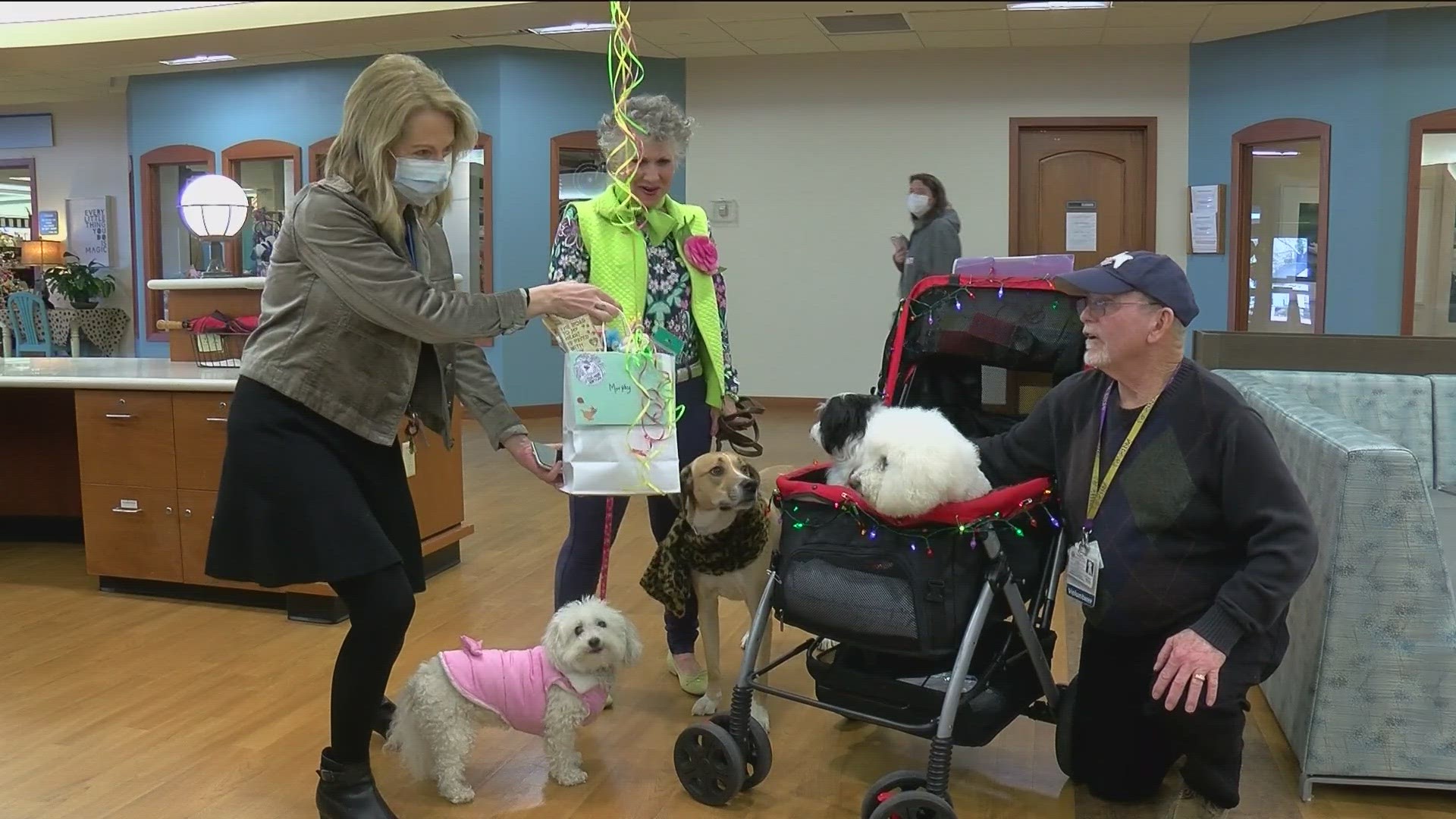 Murphy, the 18-year-old therapy dog, is retiring from Mercy St. Charles Hospital.