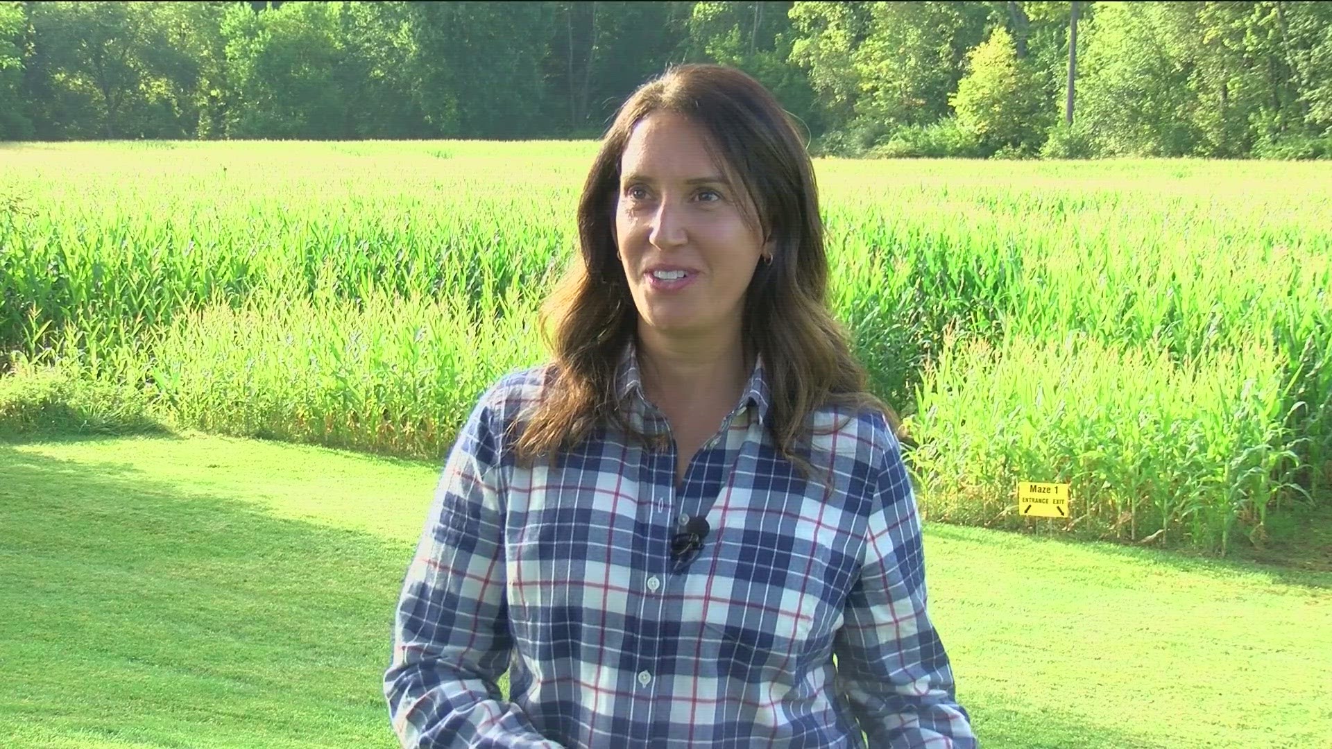 The Corn Maze at the Butterfly House at Wheeler Farms in Whitehouse is open for the fall.