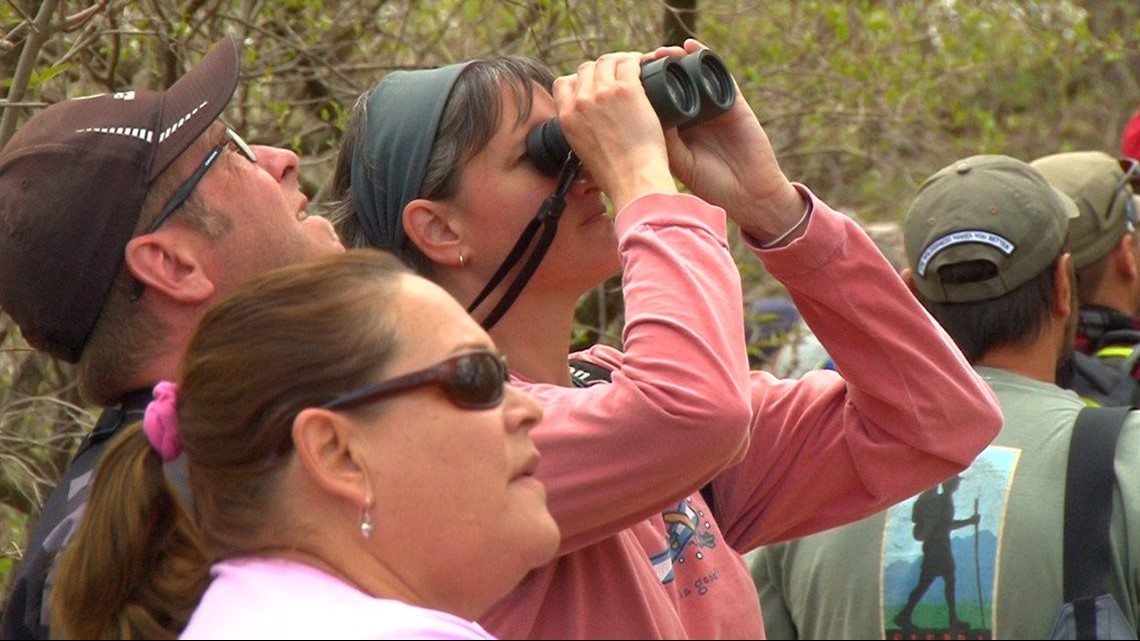 Birders flock to Magee Marsh for America's biggest birding week