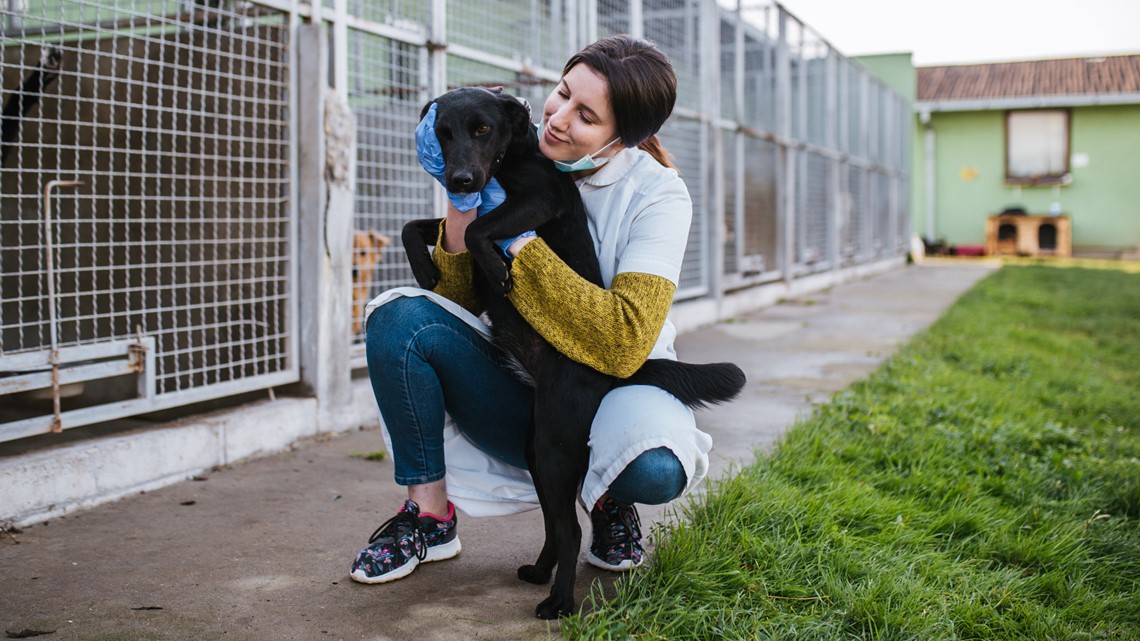 Wood County Dog Shelter reopening Monday | wtol.com