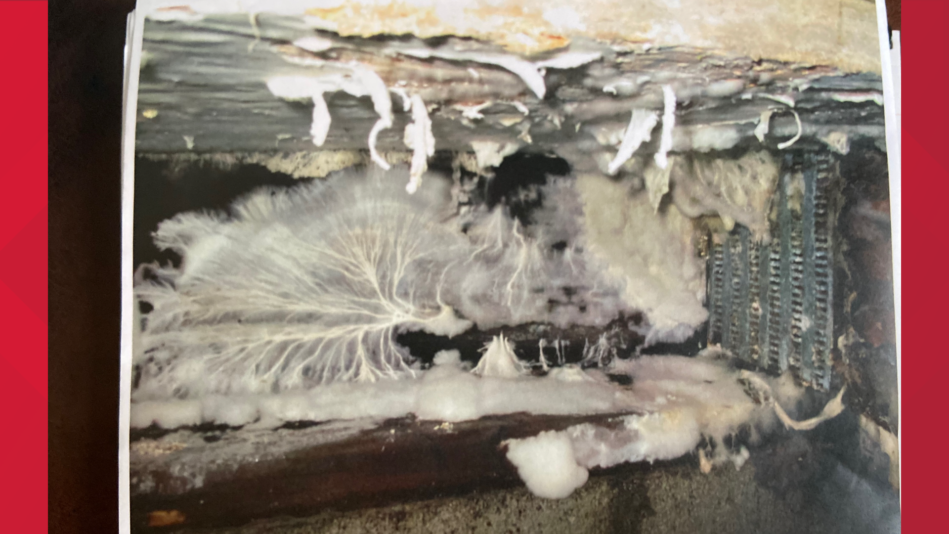 Evidence of mold led the City of Maumee Zoning Division to declare one of the apartment buildings uninhabitable, with concerns of potential collapse.