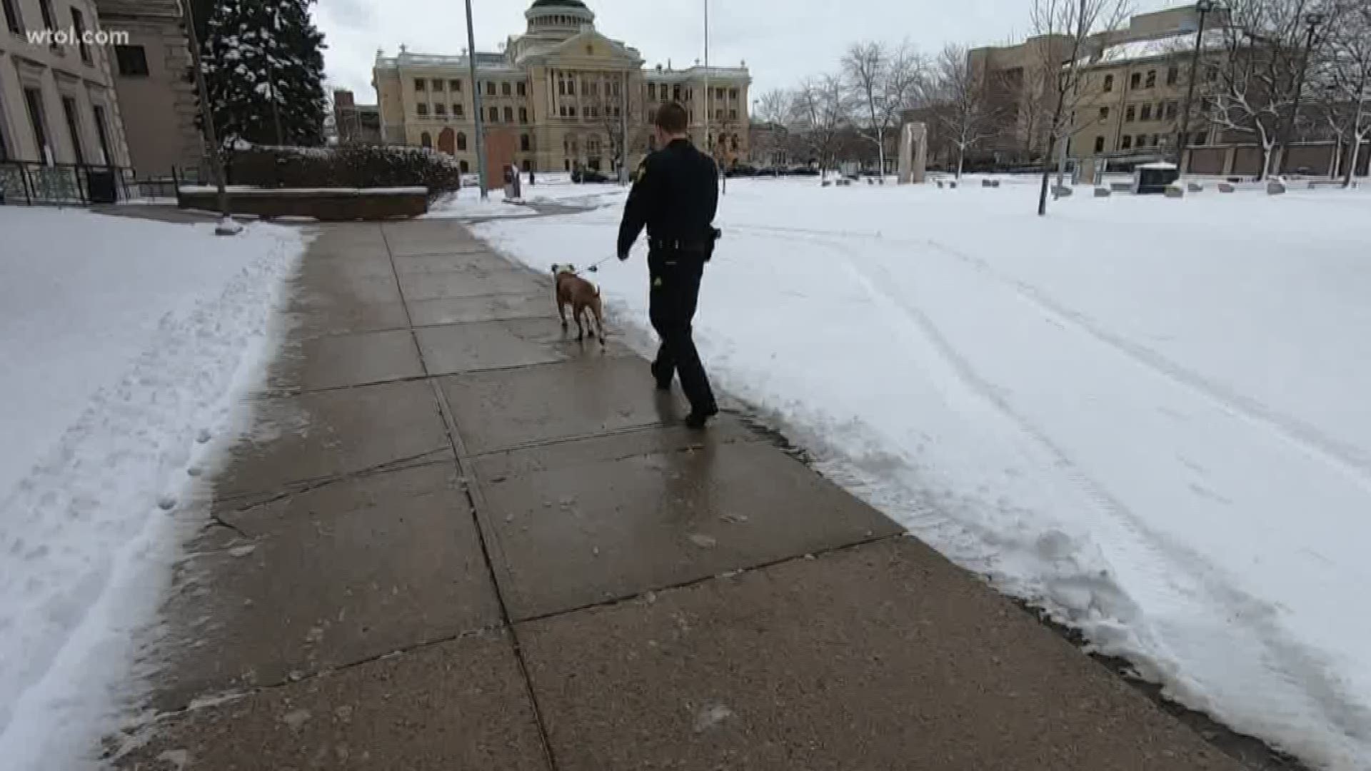 A new program is taking dogs out of the shelter and out on the town. 'DOTT with a Cop' is a partnership with TPD and LC4.