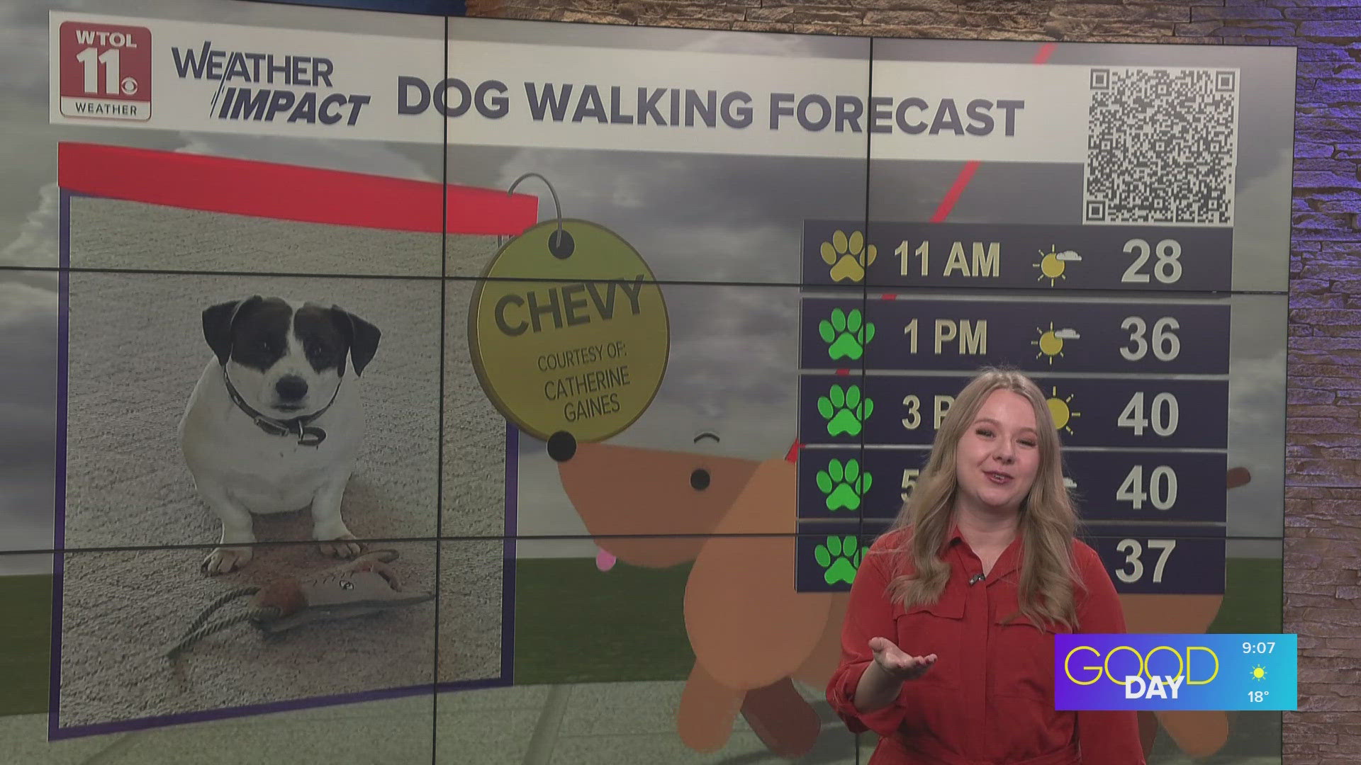 Dog walking forecast: Mostly green paw weather with warmer temps, sunny ...