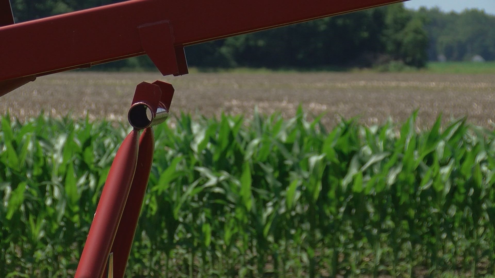Sinking Spring Farm Today A soaking success: Risingsun farmer plants majority of crops despite ...