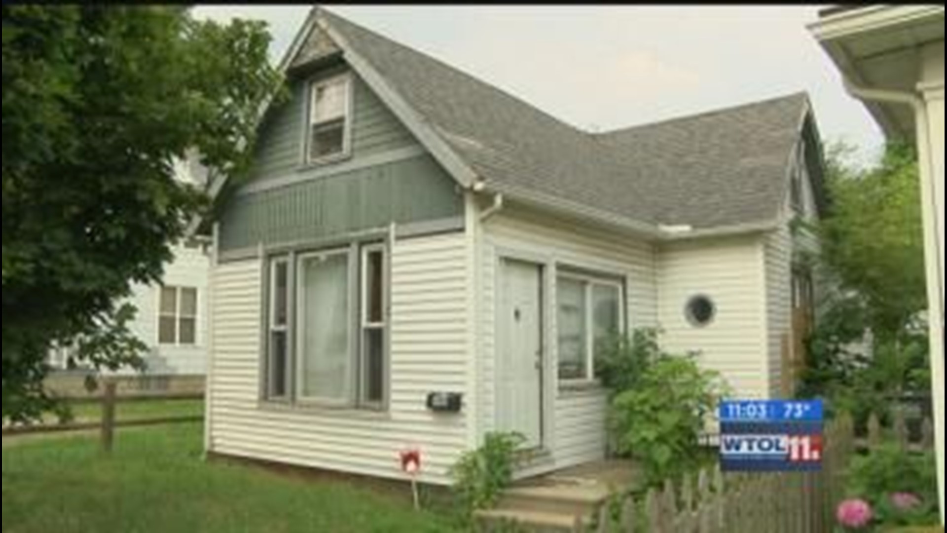 Call 11 for Action: Grandmother's home threatened by neighbor's tree