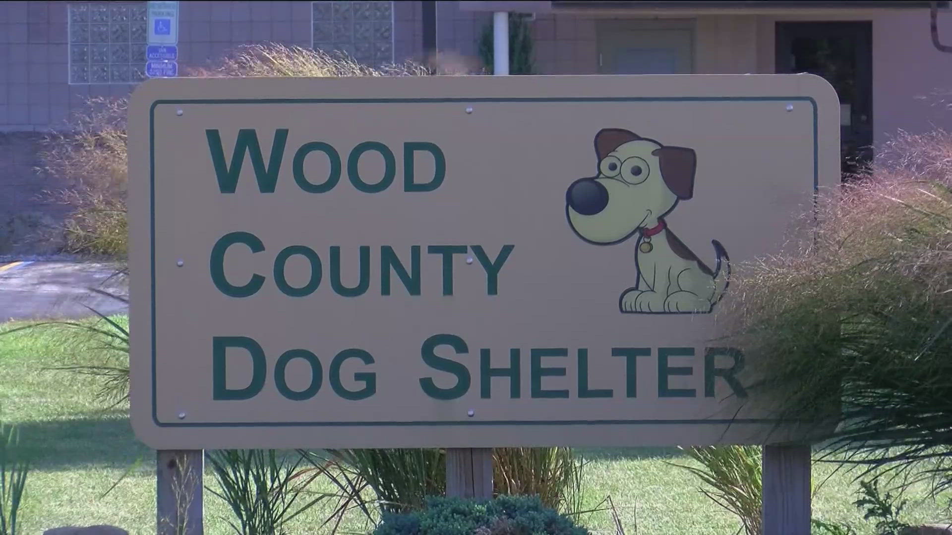The Wood County Dog Shelter will conduct door-to-door checks through November to identify unregistered and unlicensed dogs, and help with registration and licensing.