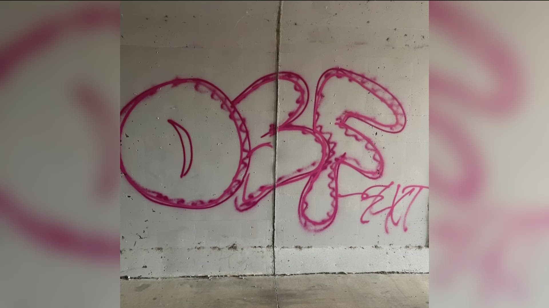 Two teenagers are facing charges after a Fremont resident recorded video of them spray painting city property at a local park.