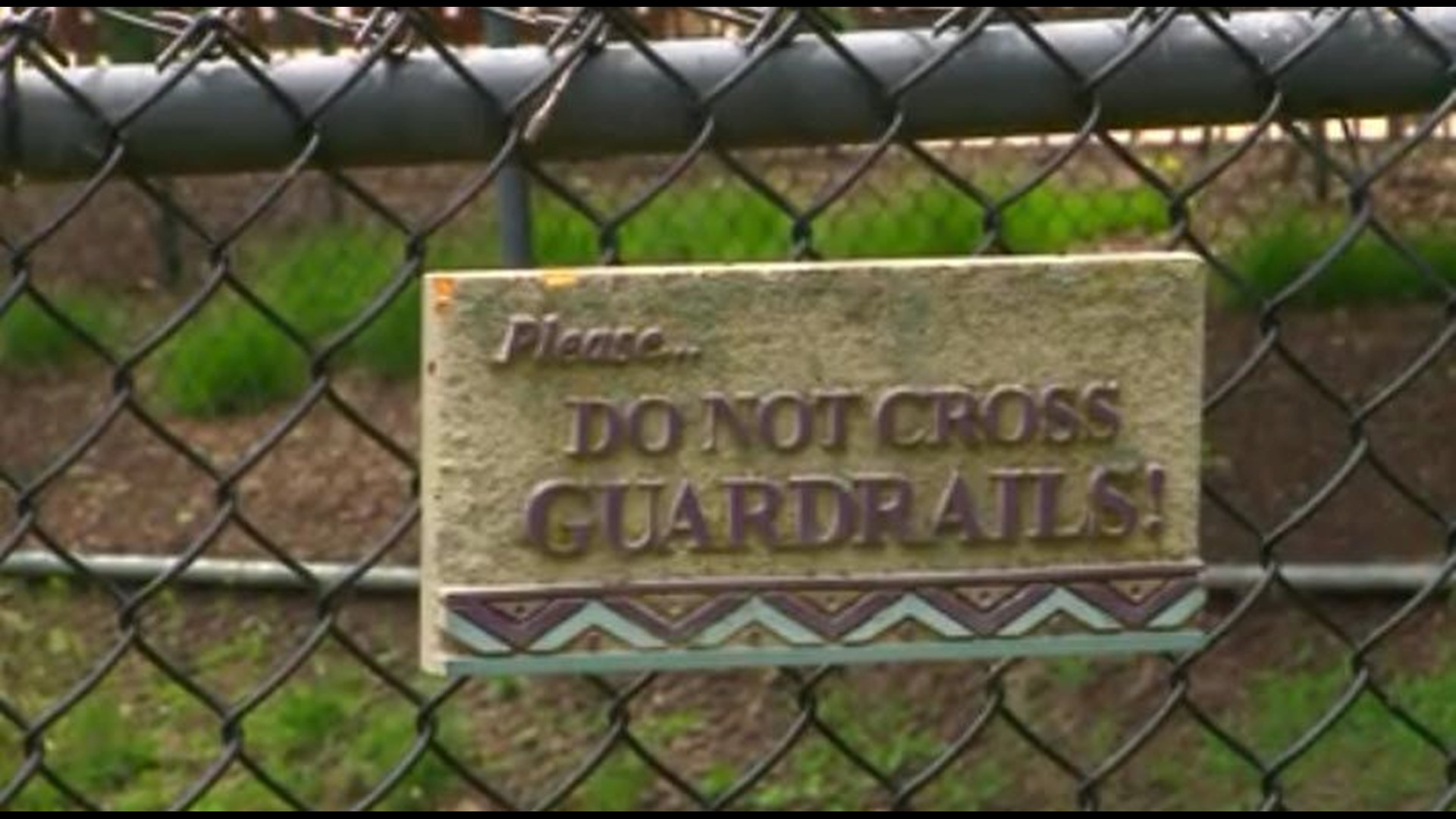 Tragedy at Cincinnati Zoo What would happen if it occurred here