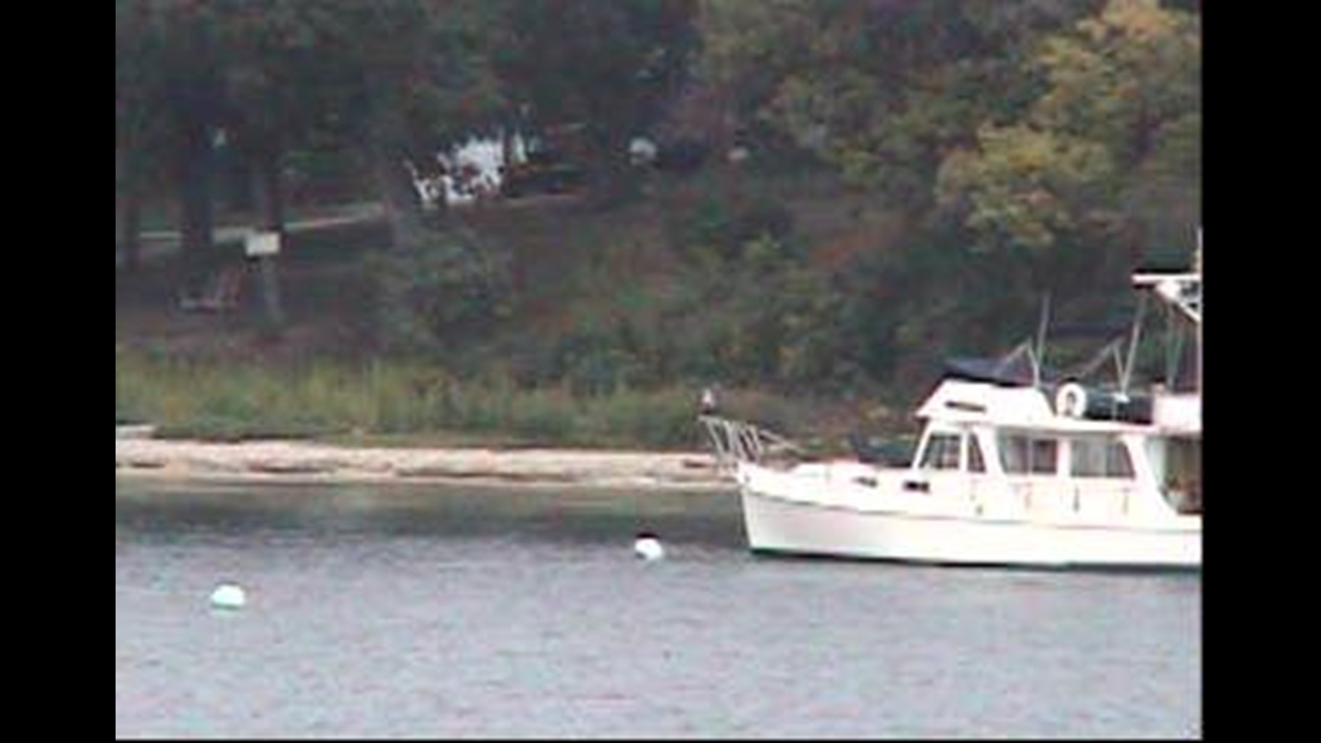 Antique and Classic Boat Show underway at Toledo Maritime Center